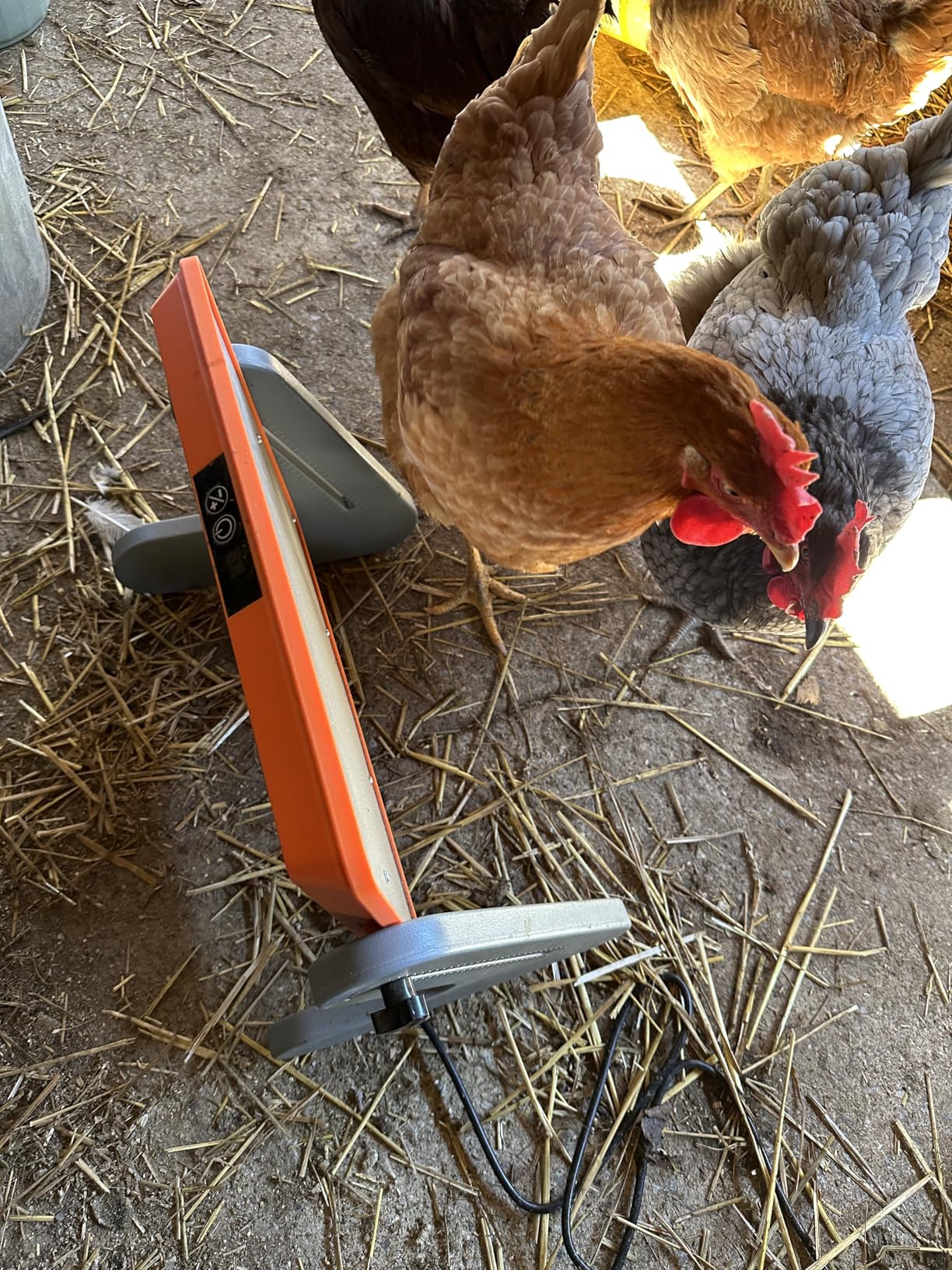 Brooder Heater for 20 Chicks, Chicken Heating Brooder Plate with 3 Adjustable Temp Settings, Safe Coop Heater for Poultry Cage Warmer, 16