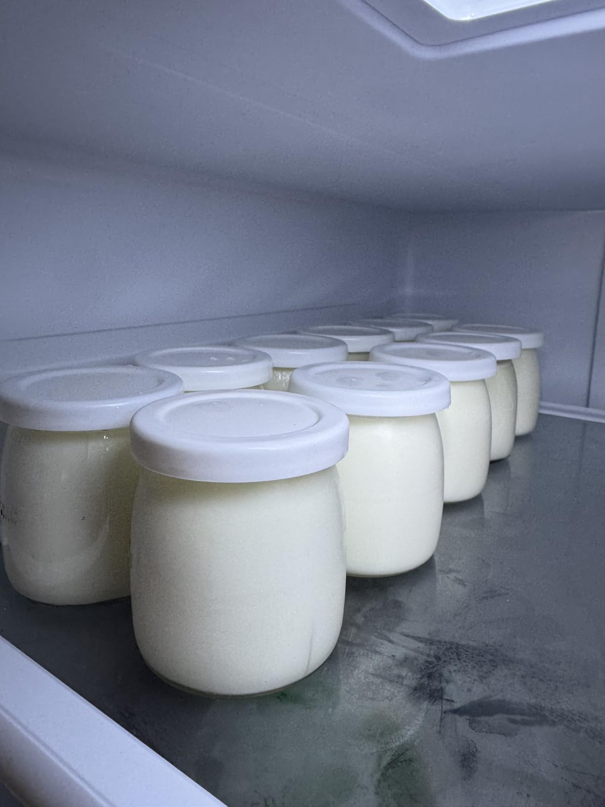 Yogurt Maker with Adjustable Temperature & 48H Timer - 6 Glass Jars for Homemade Probiotic Yogurt customer photo 2