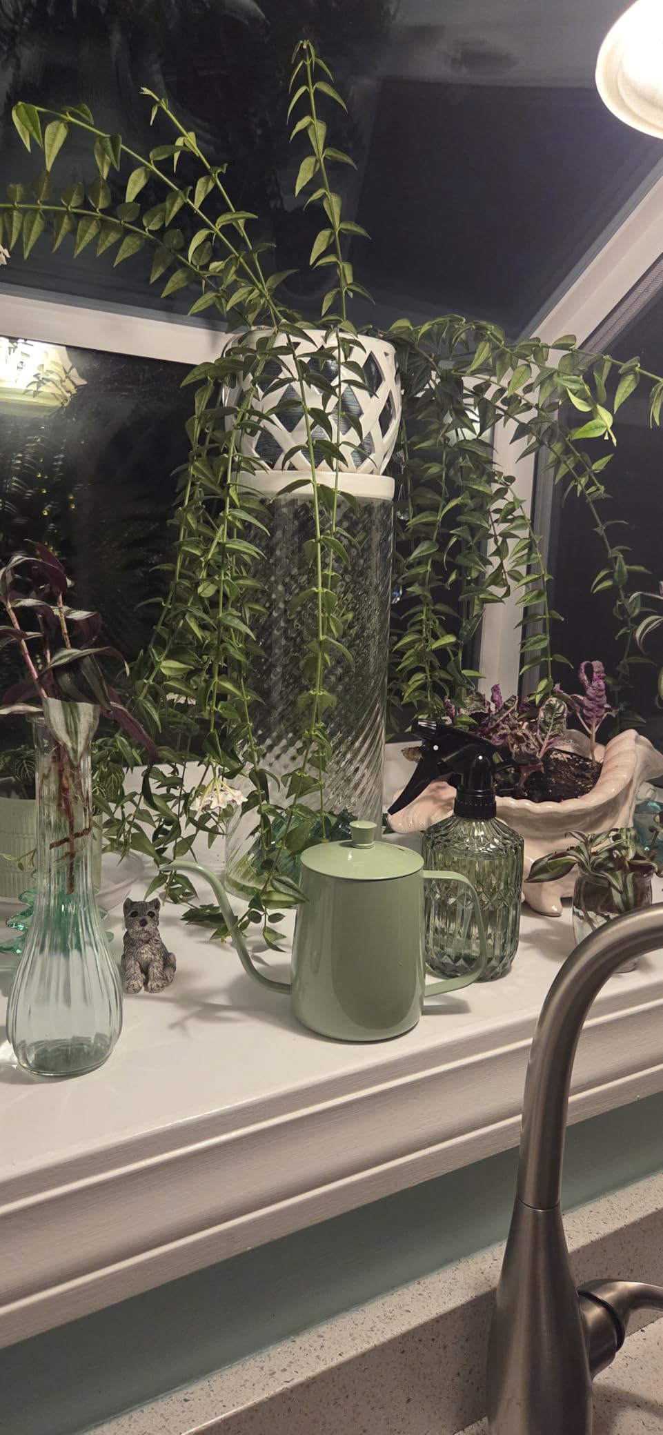 Watering Can Indoor Plants, 20 oz Metal Mini Indoor Watering Can with Long Spout for Houseplants, 13.5 oz Glass Plant Mister Spray Bottle for Bonsai Garden Flower Seedlings (Black/Grey) customer photo 1