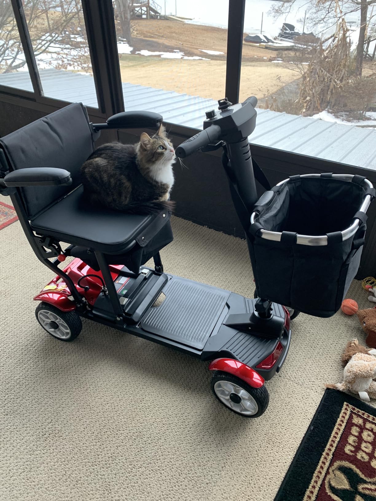 4 Wheels Mobility Scooters for Seniors,39LBS Light Frame&350LBS Capacity&30 Miles Travel Range&270W Brushless Motor Powered Wheelchair Folding Electric Scooter&LED Light&Dust Cover&Auto Brake-(Silver) customer photo 1