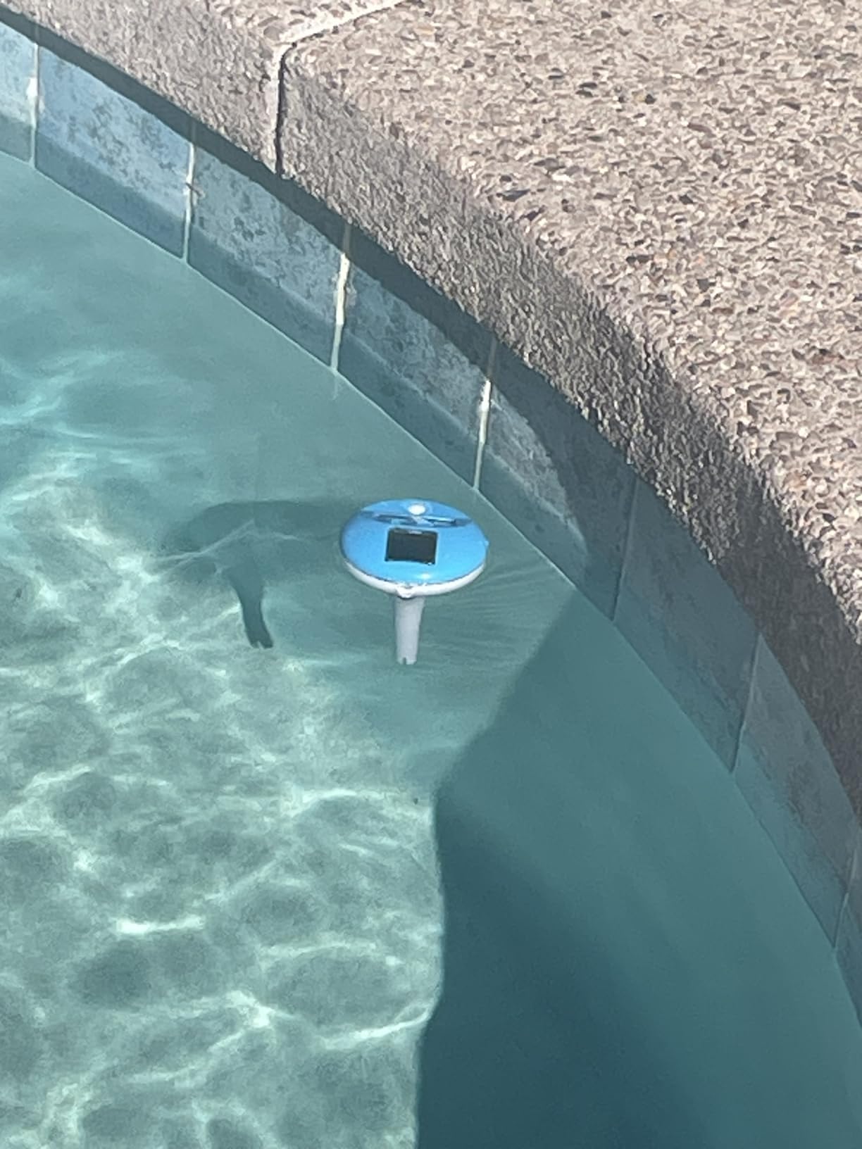 LuxBlue Floating Pool Thermometer Solar Powered | Large LCD Display- Easy to Read | IP68 Waterproof Digital Pool Thermometer with String | Ultra-Precise Pools Water Temperature Gauge for Hot Tub, Spa customer photo 1