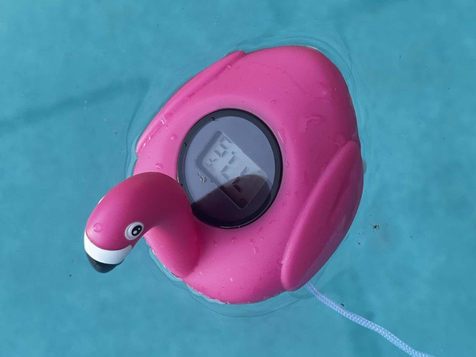 FirstE 2026 Solar Digital Pool Thermometer Come with Rope | Backlit LCD Display for Easy Read | Flamingo Pool Temperature Thermometer Floating Design | Ultra-accurate Temperature Gauge for Hot tub,Spa customer photo 1