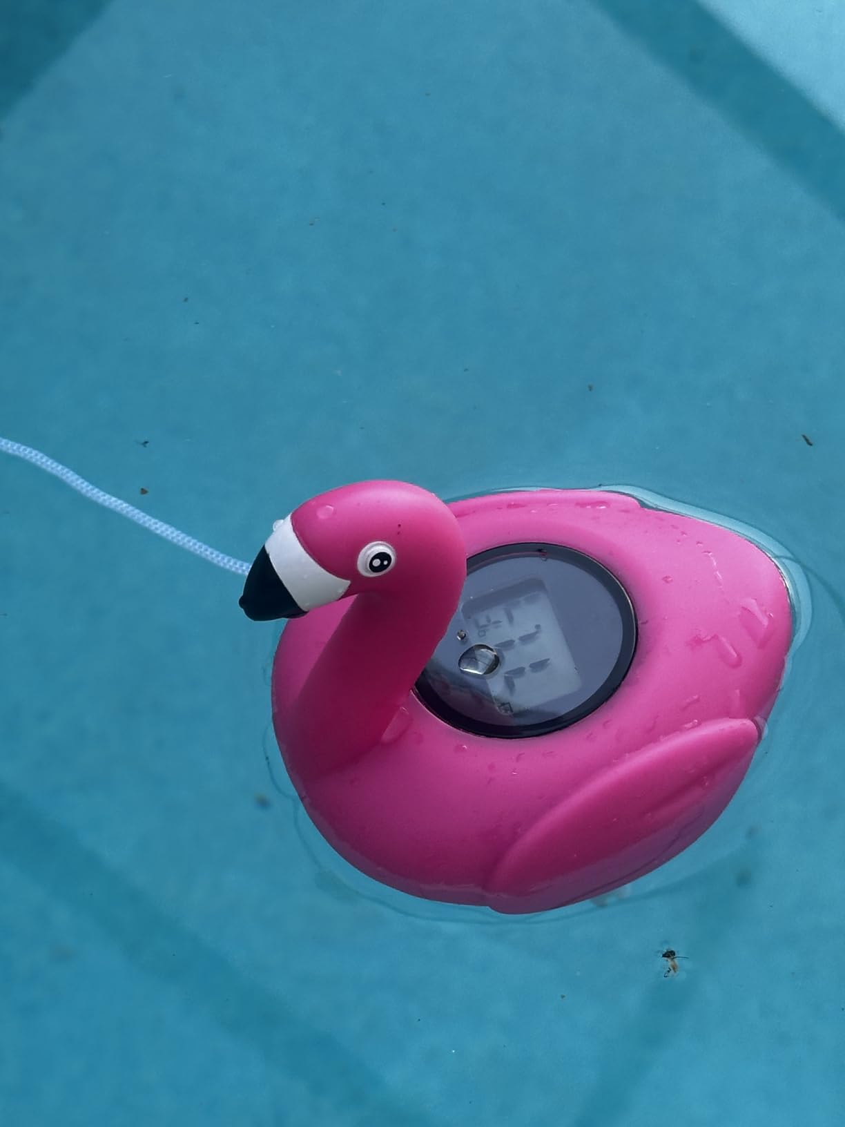 FirstE 2026 Solar Digital Pool Thermometer Come with Rope | Backlit LCD Display for Easy Read | Flamingo Pool Temperature Thermometer Floating Design | Ultra-accurate Temperature Gauge for Hot tub,Spa customer photo 2