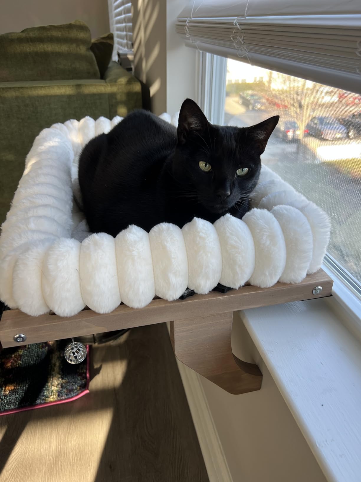 Cloud-Cuddle Cat Perch for Window Sill with Bolster, Natural Wood & Metal Frame Cat Window Seat for Large Cats, Easy to Adjust Zipper Cushion Pet Bed for Windowsill (Medium) customer photo 1