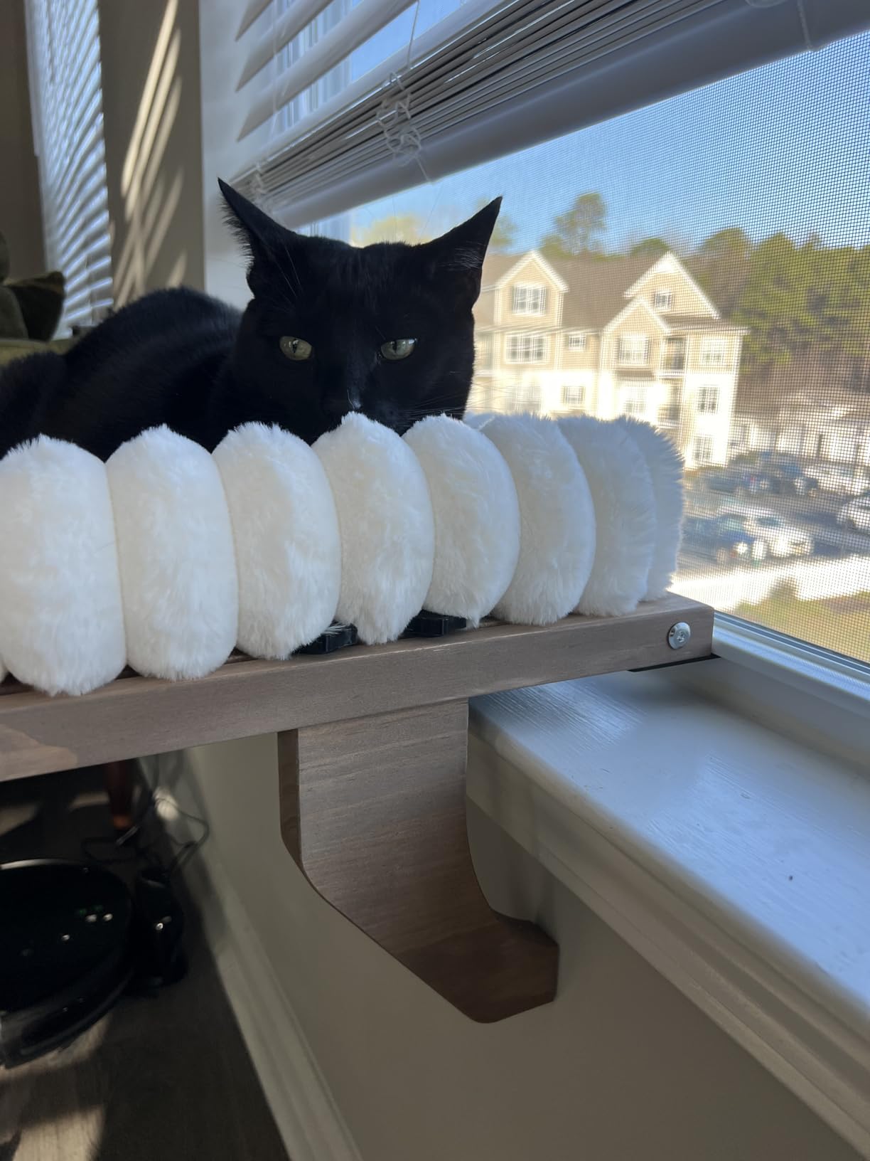 Cloud-Cuddle Cat Perch for Window Sill with Bolster, Natural Wood & Metal Frame Cat Window Seat for Large Cats, Easy to Adjust Zipper Cushion Pet Bed for Windowsill (Medium) customer photo 2