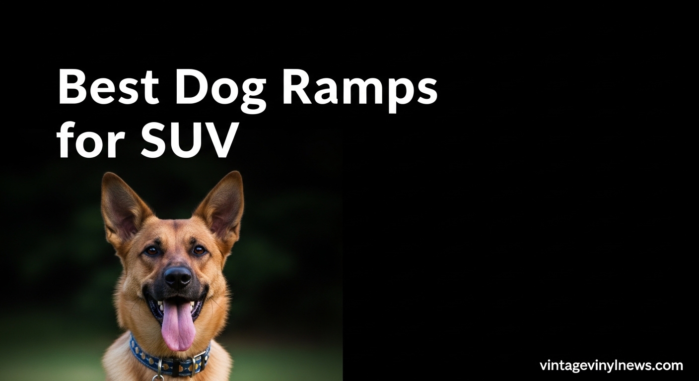 Best Dog Ramps for SUV