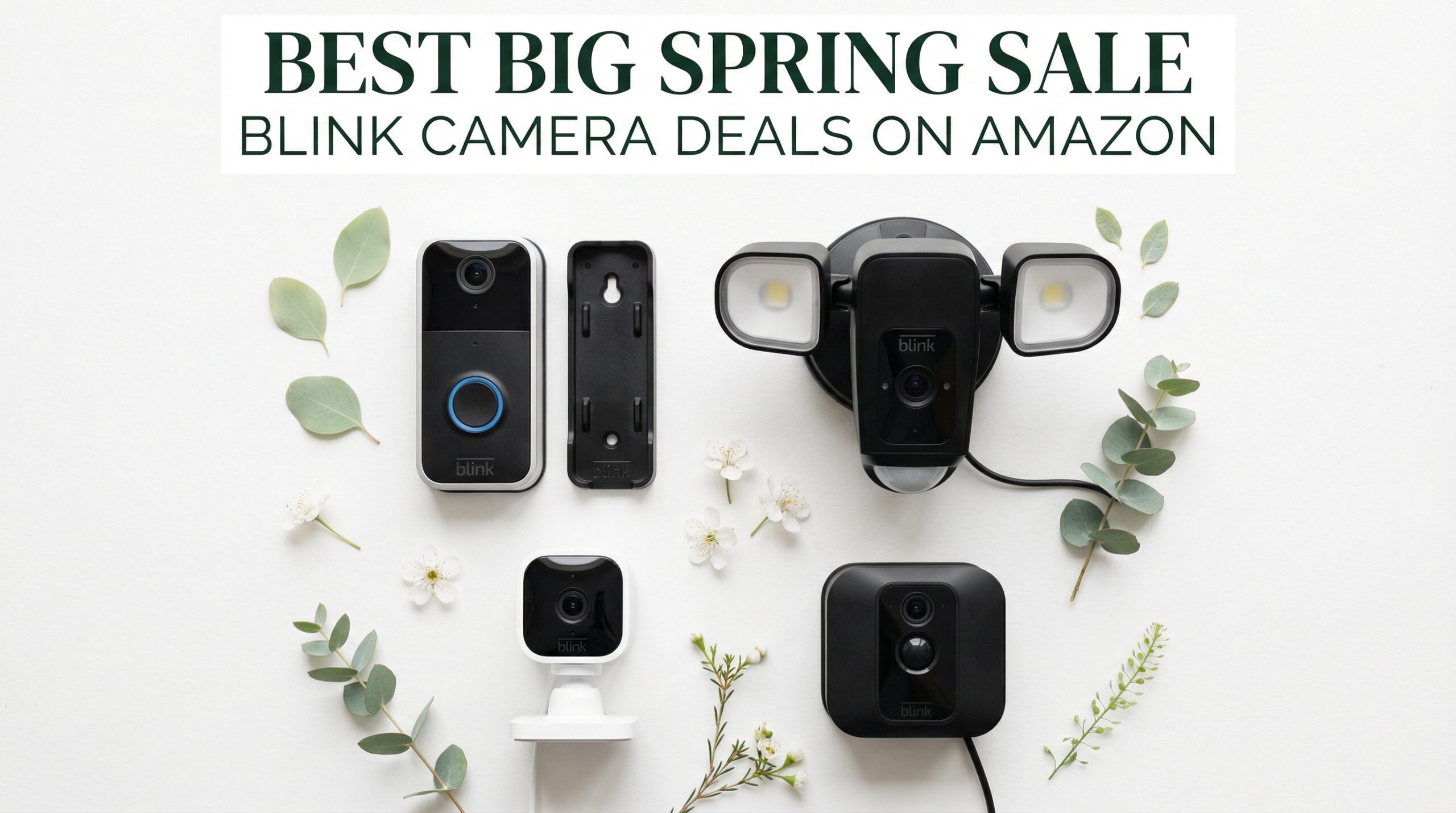 Best Big Spring Sale Blink Camera Deals on Amazon