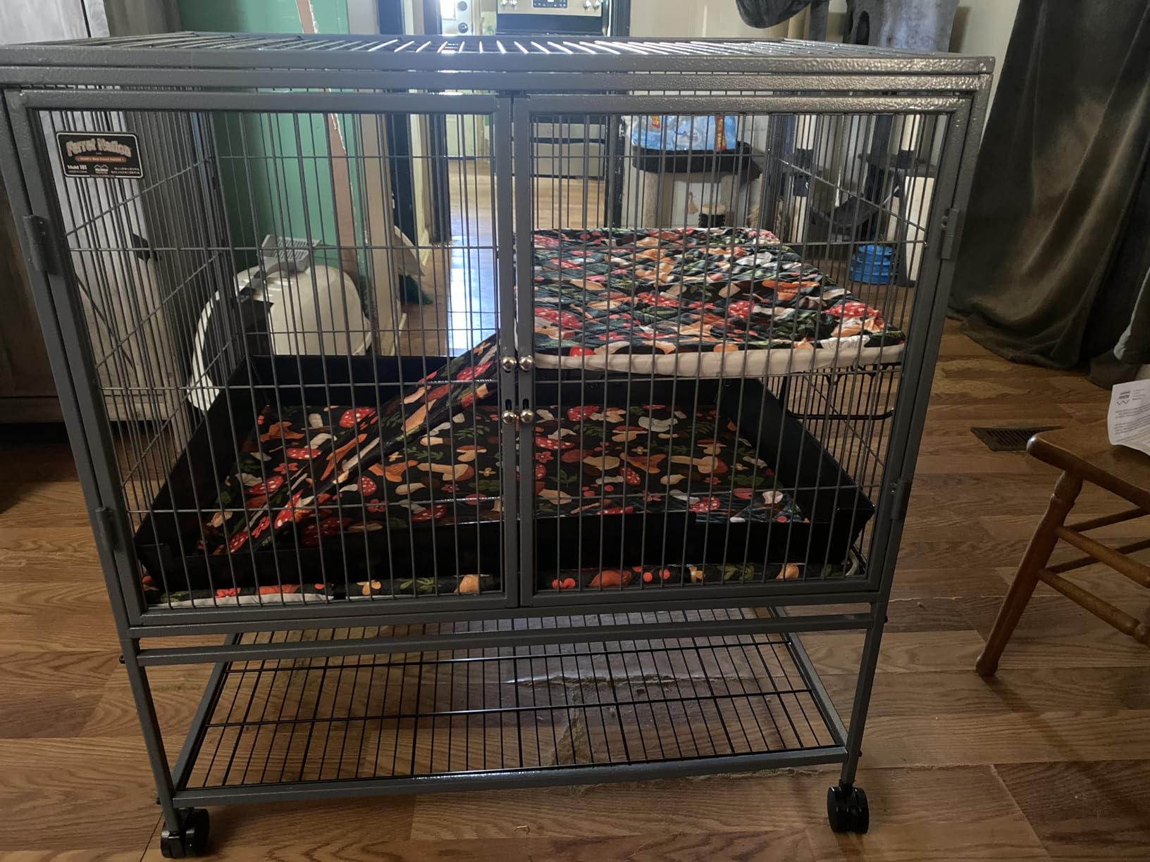 MidWest Homes for Pets Ferret Nation Single Unit Small Animal Cage, 2 Tiers, Includes Pan, Shelf, Ramp & Cover, for Ferrets & Other Small Animals customer photo 1
