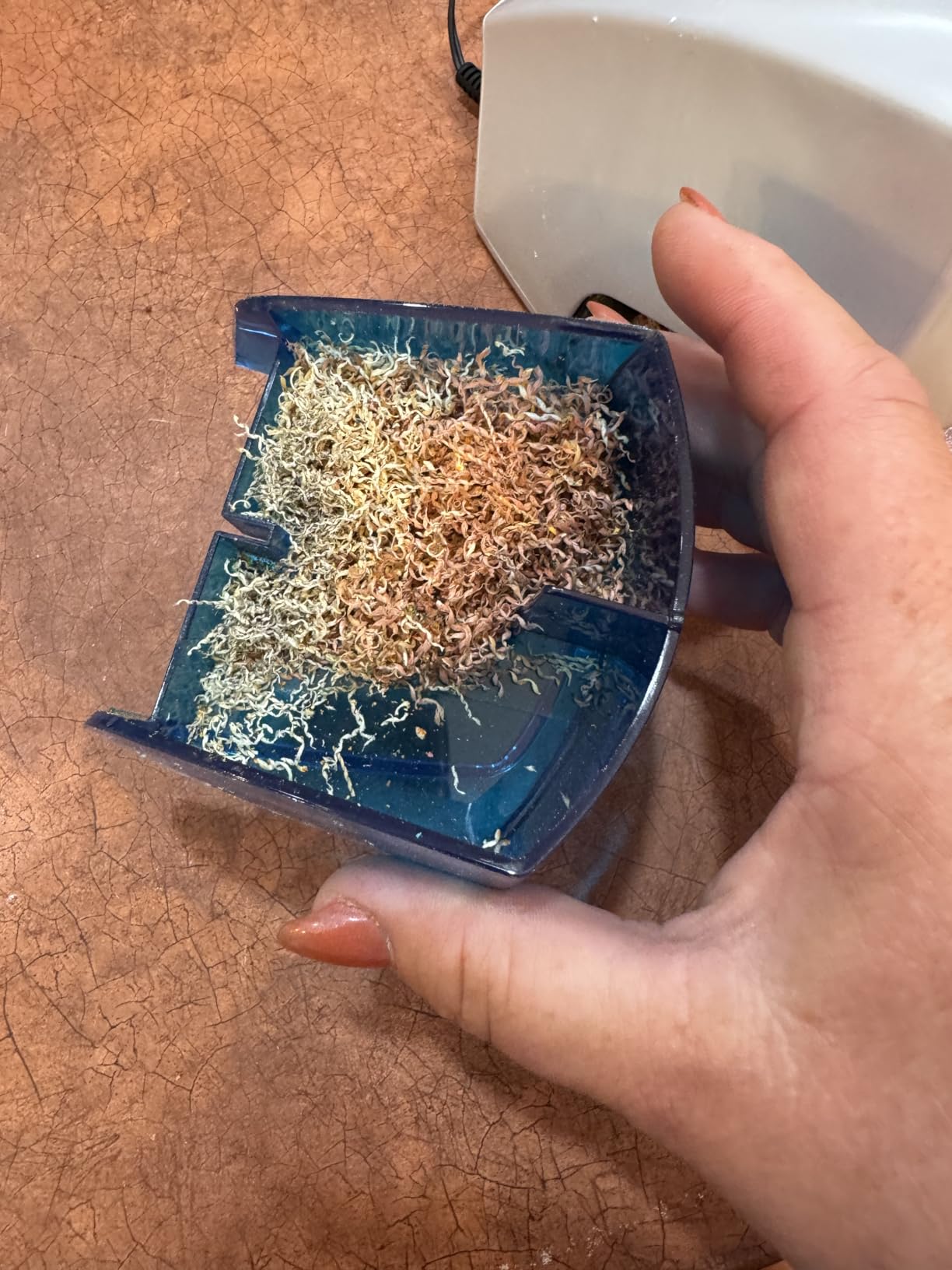 Bostitch Office Electric Pencil Sharpener, Heavy Duty Powerful Stall-Free Motor, High Capacity Shavings Tray, for Office or Classroom, Blue customer photo 1