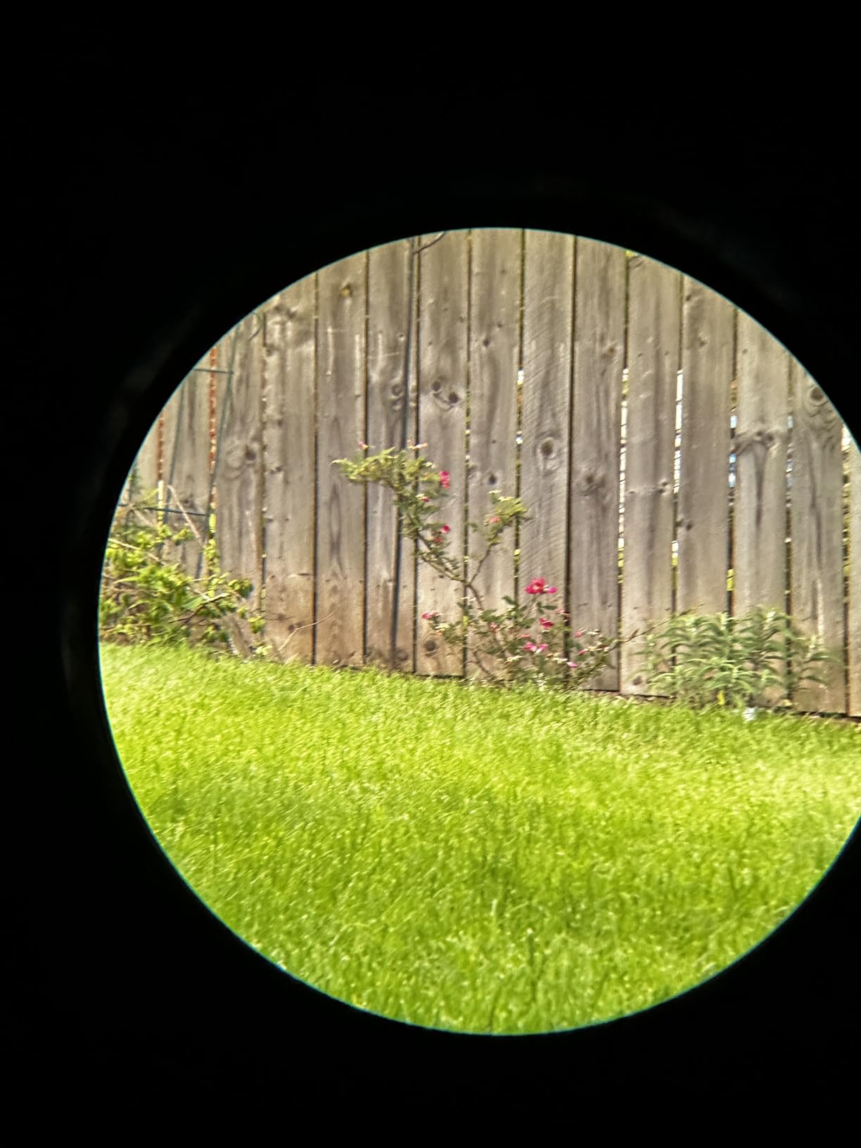 Vortex Optics Solo Monocular 10x36 - Utility Clip, Adjustable Eyecup, Fully Multi-Coated Lenses, Rubber Armor, Non-Slip Grip, Fogproof, Waterproof - Unlimited, Unconditional Warranty customer photo 2