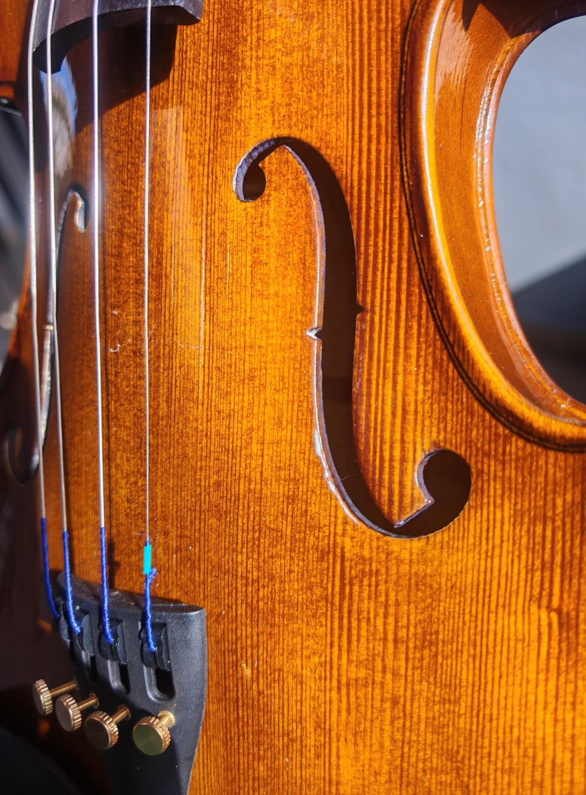 Cremona SV-175 Premier Student Violin Outfit - 3/4 Size - Hand-Carved Spruce & Maple, Ebony Fittings, US-Made Prelude Strings customer photo 1