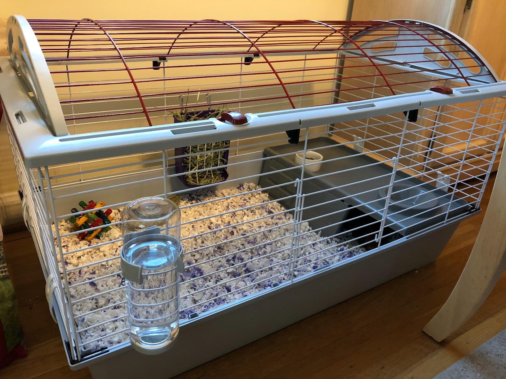 Living World Deluxe Hybrid Habitat, Standard - Rabbit, Guinea Pig, Chinchillas, and Small Animal Cage customer photo 2