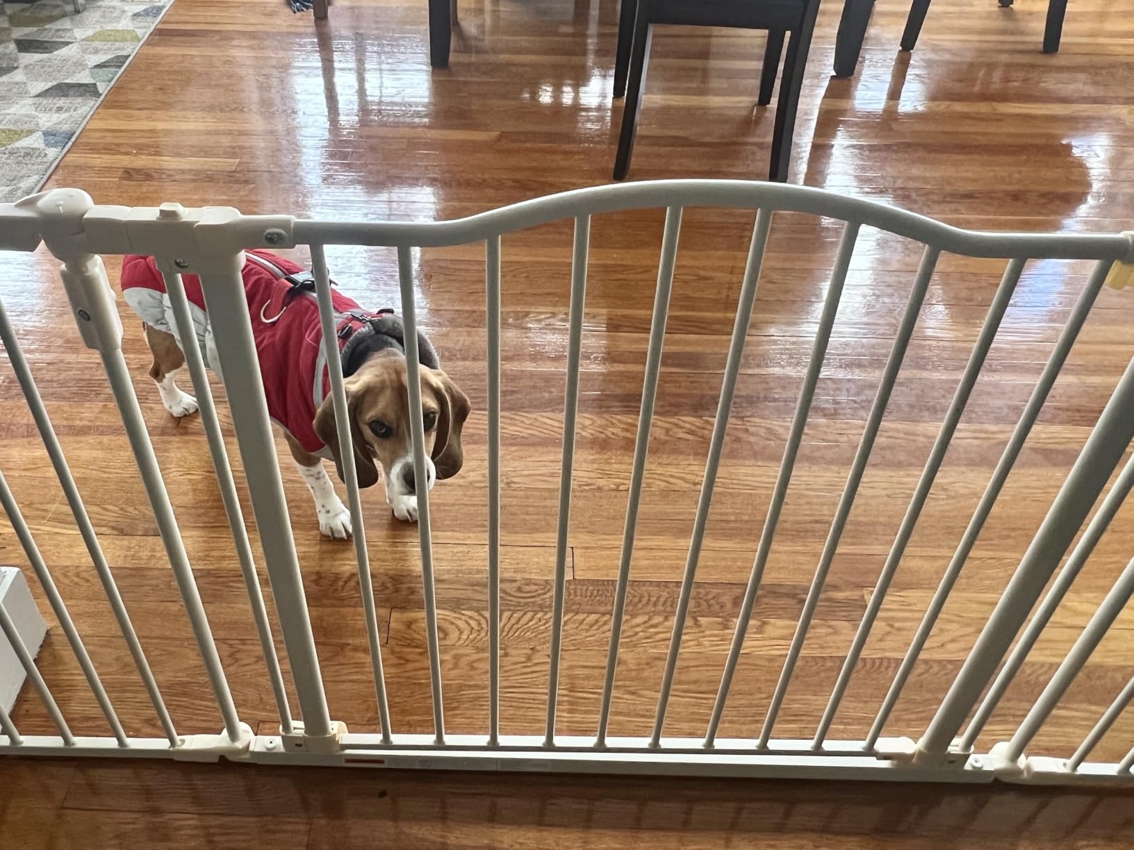 Toddleroo by North States - Deluxe Decor Safety Gate: Hardware Mounted Extra Wide Metal Baby Gate - Adjustable 38.3 to 72 Inches Wide - 30 Inches Tall - Matte Bronze customer photo 1