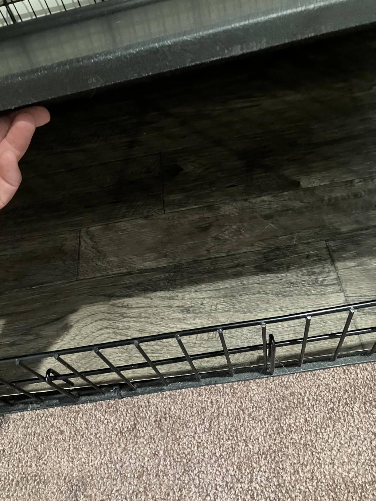 MidWest Homes for Pets Solutions Series XXL Double Door 54-Inch Dog Crate for the Largest Breeds, Sturdy Drop Pin Assembly, Black E-Coated, SL54DD customer photo 1