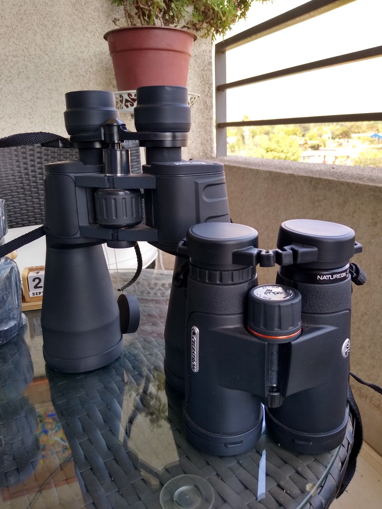 Celestron Nature DX ED 8x42 Premium Binoculars - Extra-Low Dispersion Objective Lenses - Outdoor and Birding Binocular - Fully Multi-Coated with BaK-4 Prisms customer photo 2