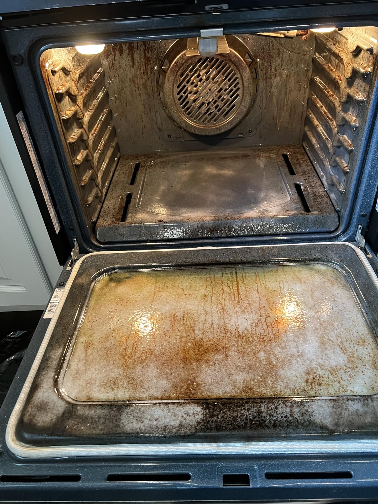 Zep Heavy-Duty Oven and Grill Cleaner - 19 oz (Case of 2) ZUOVGR19 - Dissolves Grease on Contact, on Burners, Grates and Drip Pans customer photo 1