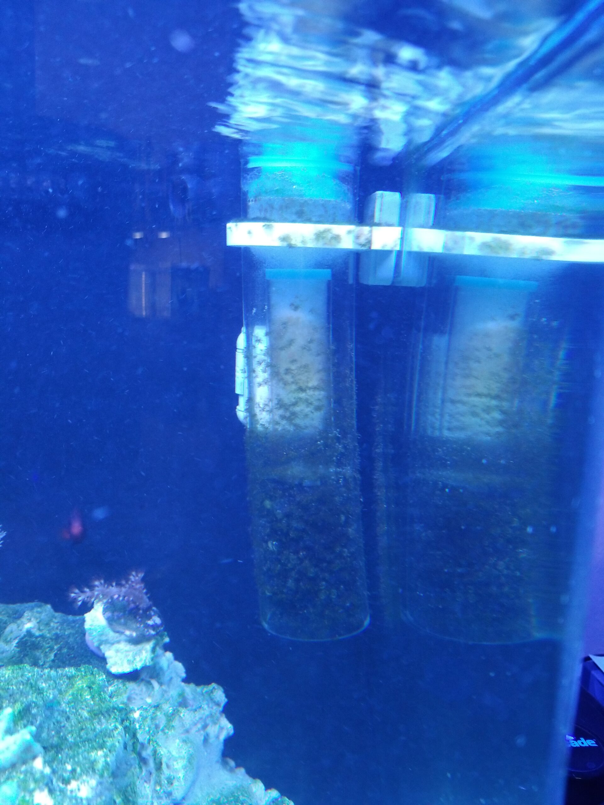 ESHOPPS Nano Skimmer | Protein Skimmer for Nano Tanks | New improved adjustable magnetic mount | Adjustable water height=