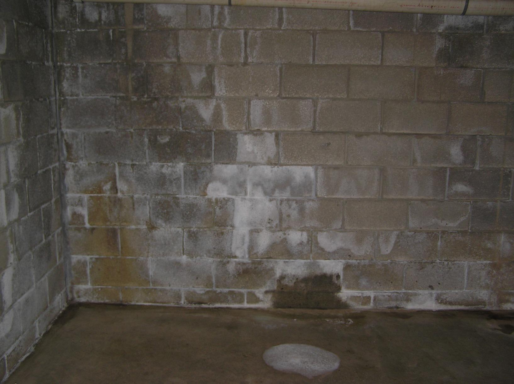 RadonSeal Plus Concrete Sealer - Deep Penetrating Waterproofing for Basement Floors, Foundation Walls & Concrete Block - Reduces Moisture & Strengthens Concrete (5 Gallon) customer photo 1