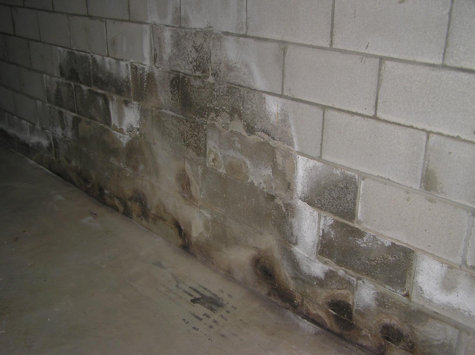 RadonSeal Plus Concrete Sealer - Deep Penetrating Waterproofing for Basement Floors, Foundation Walls & Concrete Block - Reduces Moisture & Strengthens Concrete (5 Gallon) customer photo 2