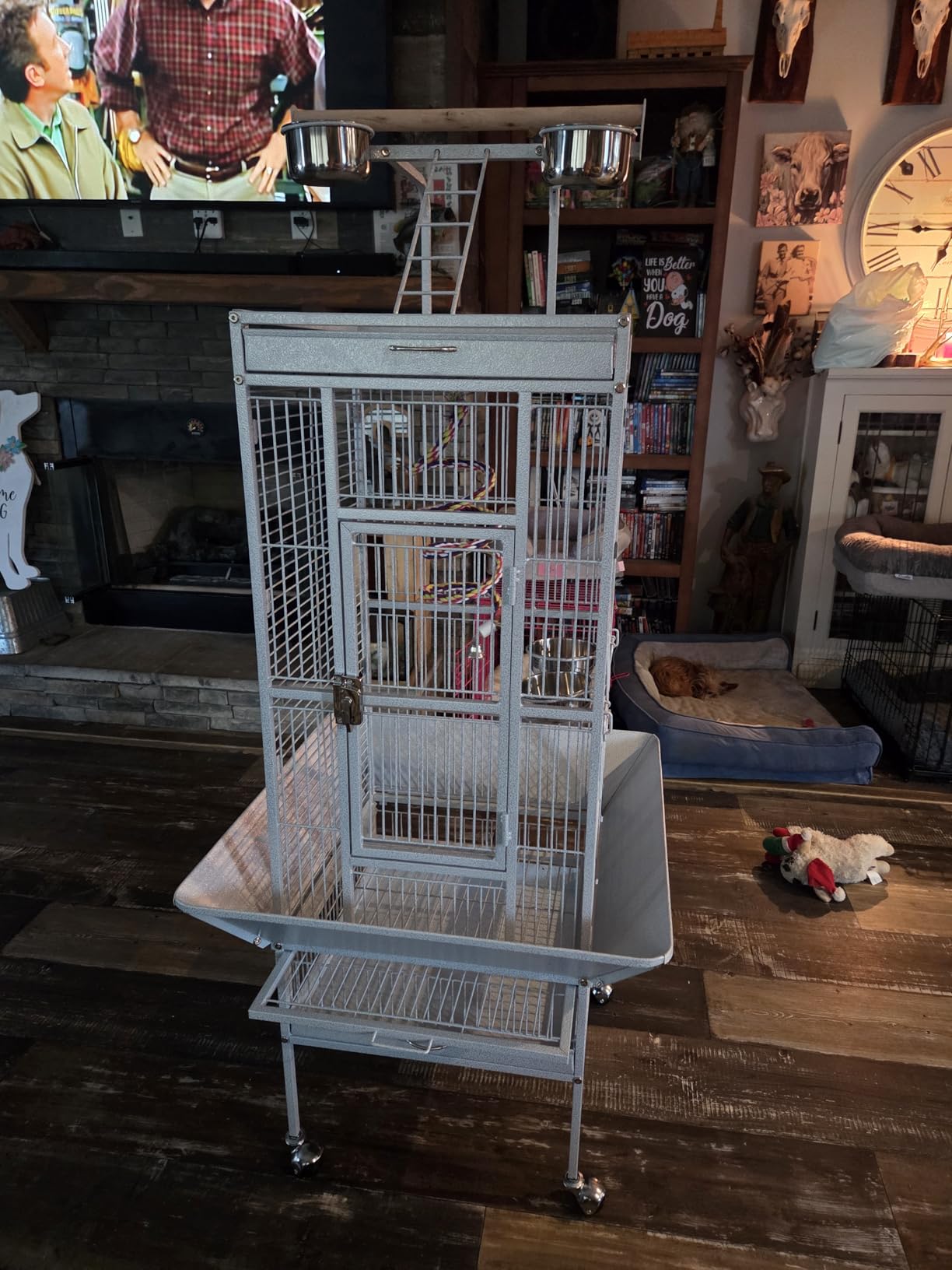 Yaheetech 61-inch Playtop Wrought Iron Large Parrot Bird Cages with Rolling Stand for Cockatiels Amazon Parrot Quaker Conure Parakeet Lovebird Finch Canary Small Medium Parrot Cage Birdcage, Black customer photo 1