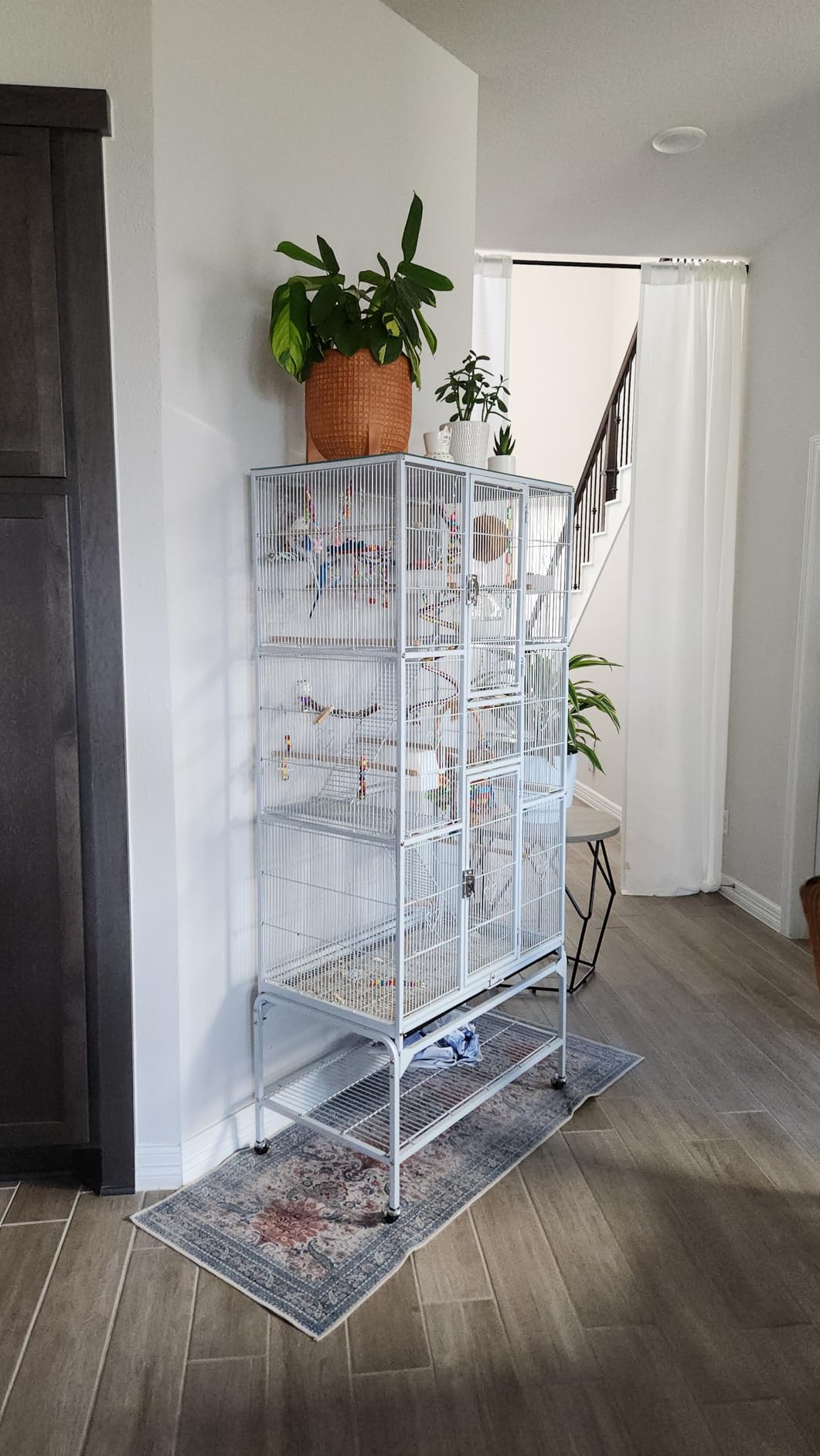 Yaheetech 69-Inch Extra Large Bird Cage Metal Parrot Cage for Mid-Sized Parrots Cockatiels Conures Parakeets Lovebirds Budgie Finch, Black customer photo 2