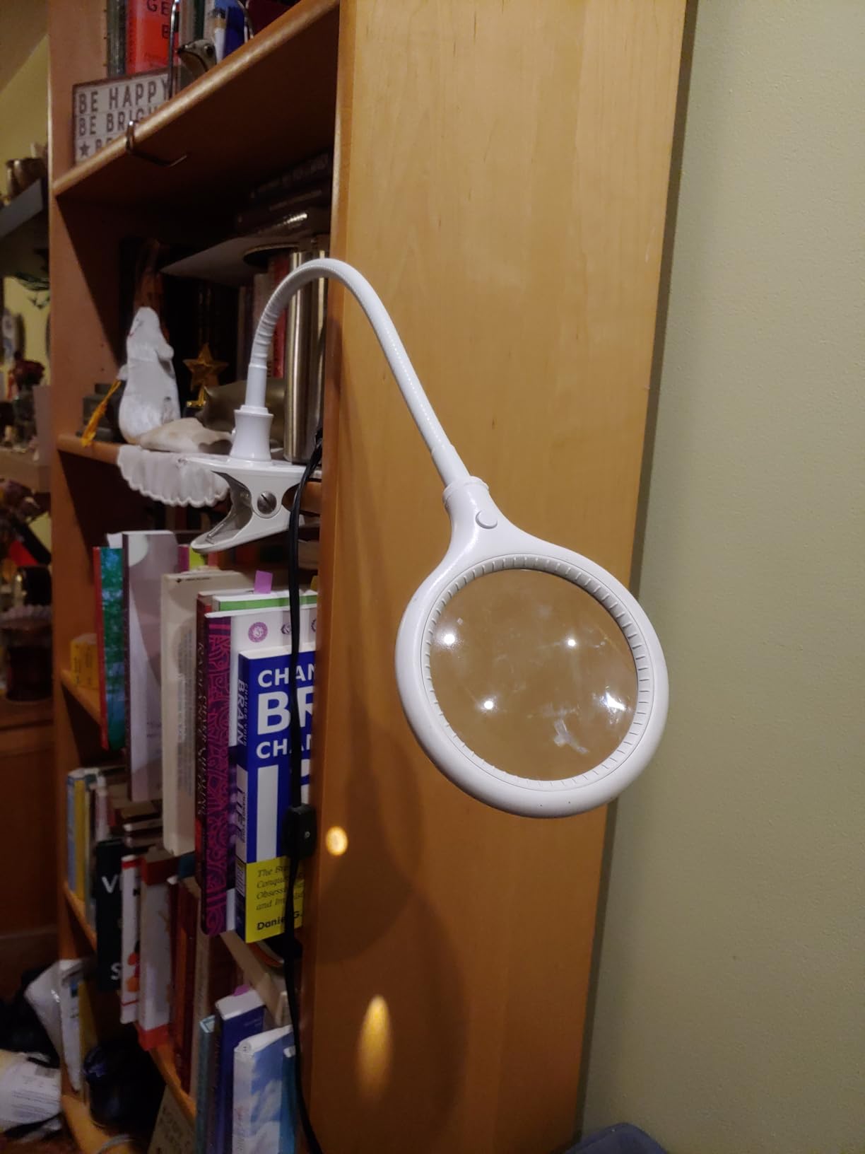 Brightech LightView Flex Magnifying Desk Lamp with Clamp, 1.75X Light Magnifier, Adjustable Magnifying Glass with Light for Crafts, Reading, Close Work customer photo 1