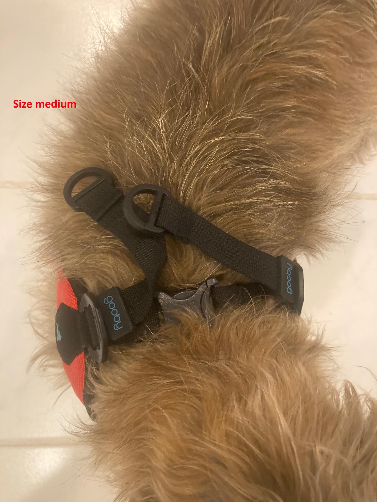 Gooby Escape Free Easy Fit Harness, Small Dog Step-in Harness for Dogs that Like to Escape Their Harness, Turquoise, Small customer photo 1
