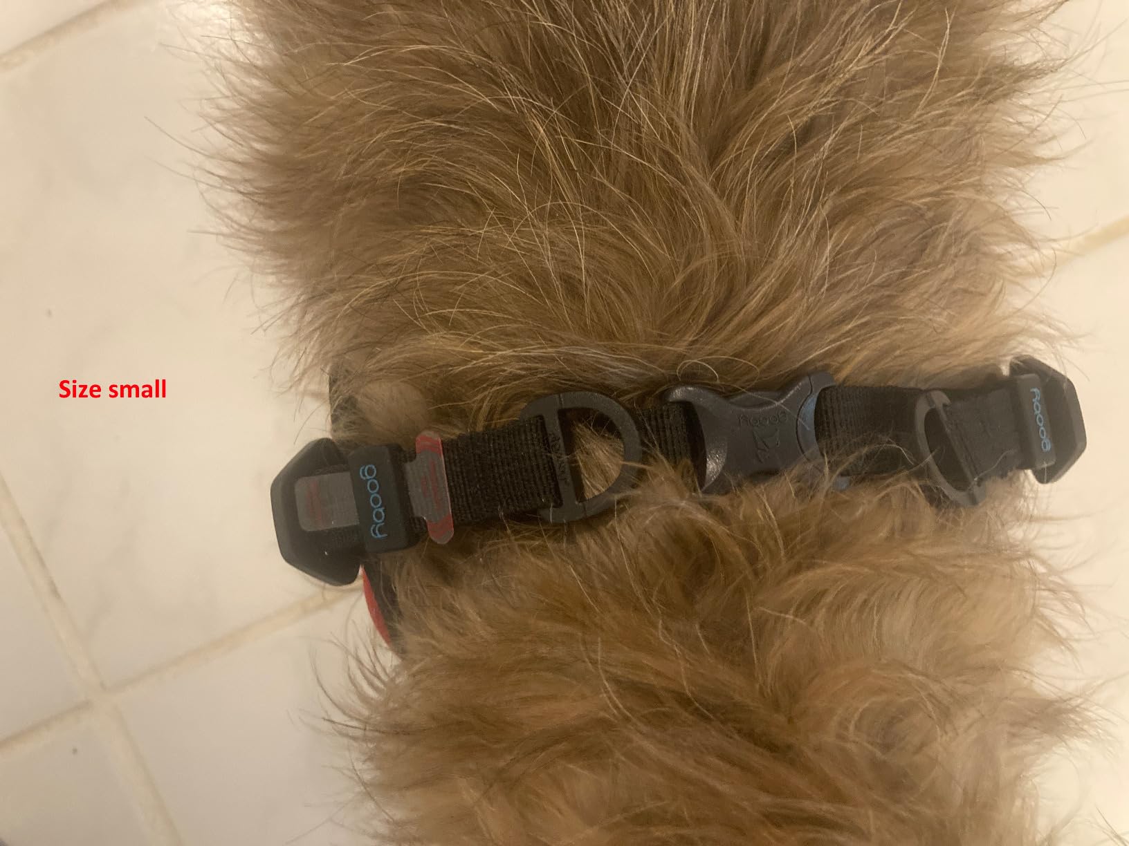 Gooby Escape Free Easy Fit Harness, Small Dog Step-in Harness for Dogs that Like to Escape Their Harness, Turquoise, Small customer photo 2
