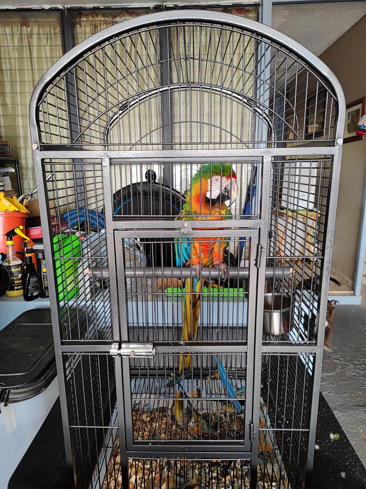 Prevue Pet Products Dometop Bird Cage - for Parrots, Conures, Caiques, Small Cockatoos, Big Bird Cage with Wheels, Indoor or Outdoor - Large, Black Hammertone customer photo 1