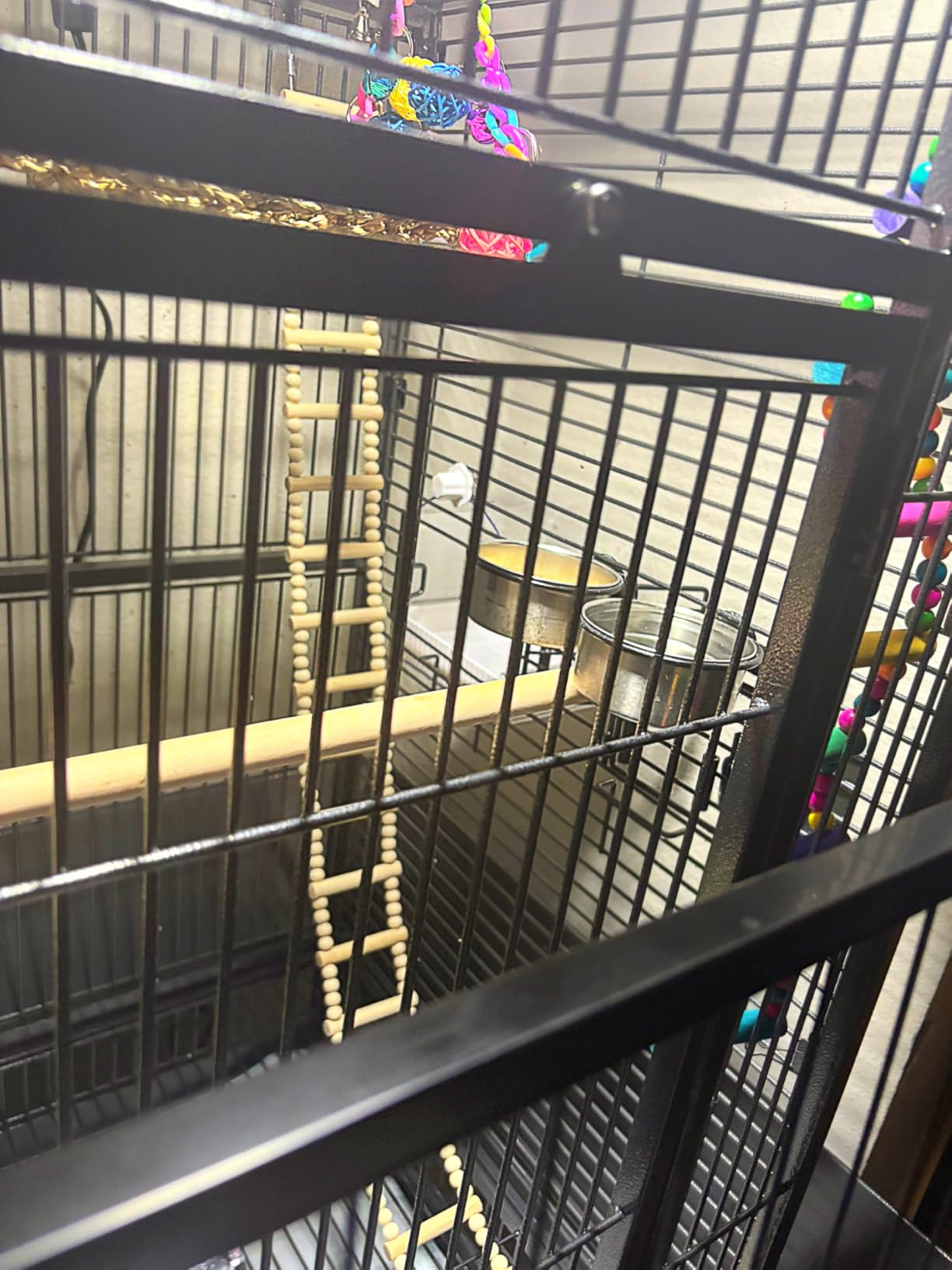 Prevue Pet Products Dometop Bird Cage - for Parrots, Conures, Caiques, Small Cockatoos, Big Bird Cage with Wheels, Indoor or Outdoor - Large, Black Hammertone customer photo 2