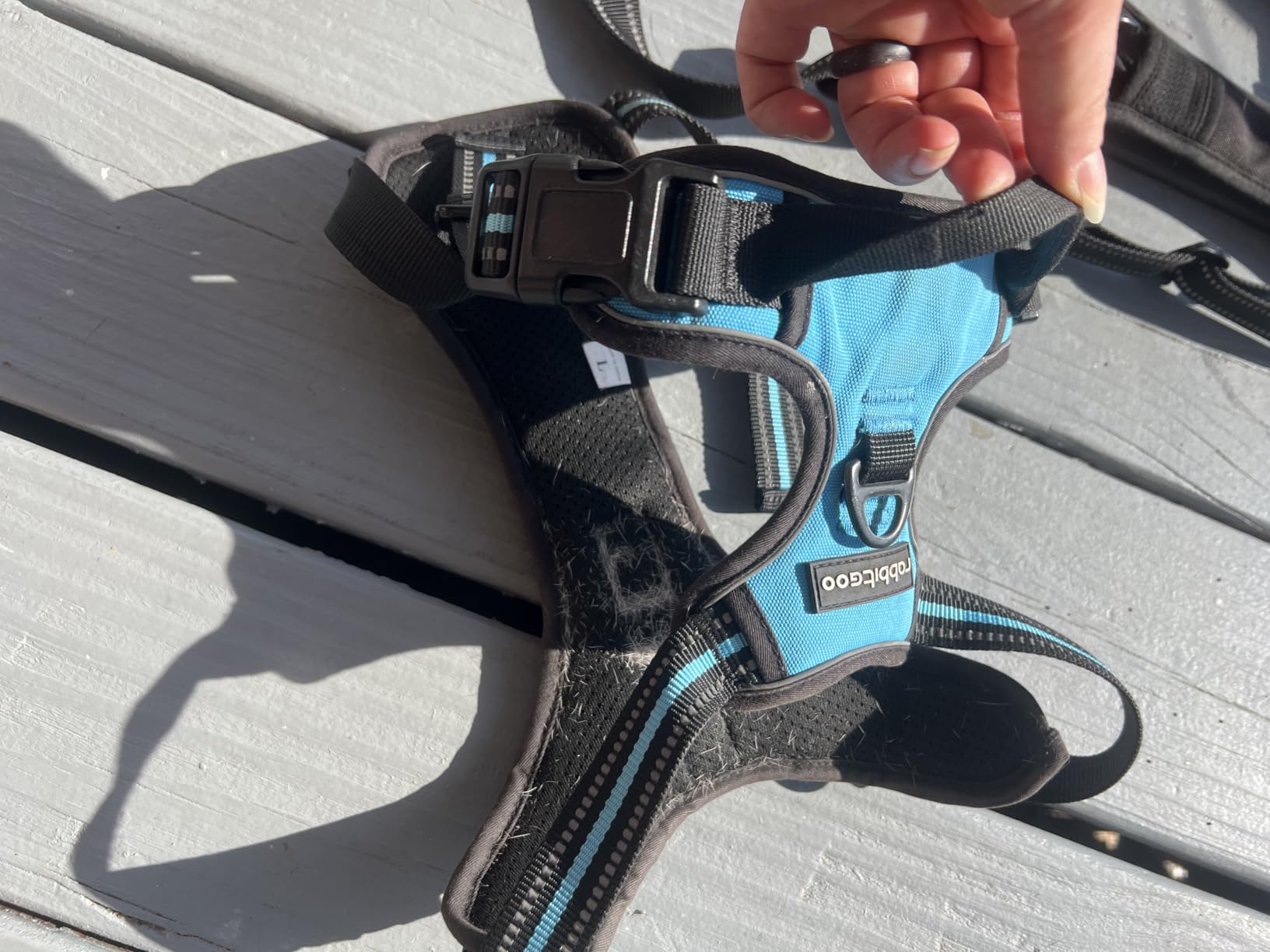 rabbitgoo Dog Harness No Pull with 2 Leash Clips, Adjustable Soft Padded, Reflective Oxford No Choke Pet Vest with Easy Control Handle for Small Dogs, Black, S customer photo 1
