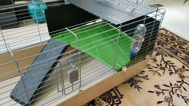 Amazon Basics Top Access Small Animal Habitat for Rabbit, Guinea Pig, Ferret & Chinchilla with Accessories, Jumbo, 48.6L x 26.6W x 20.6H customer photo 2