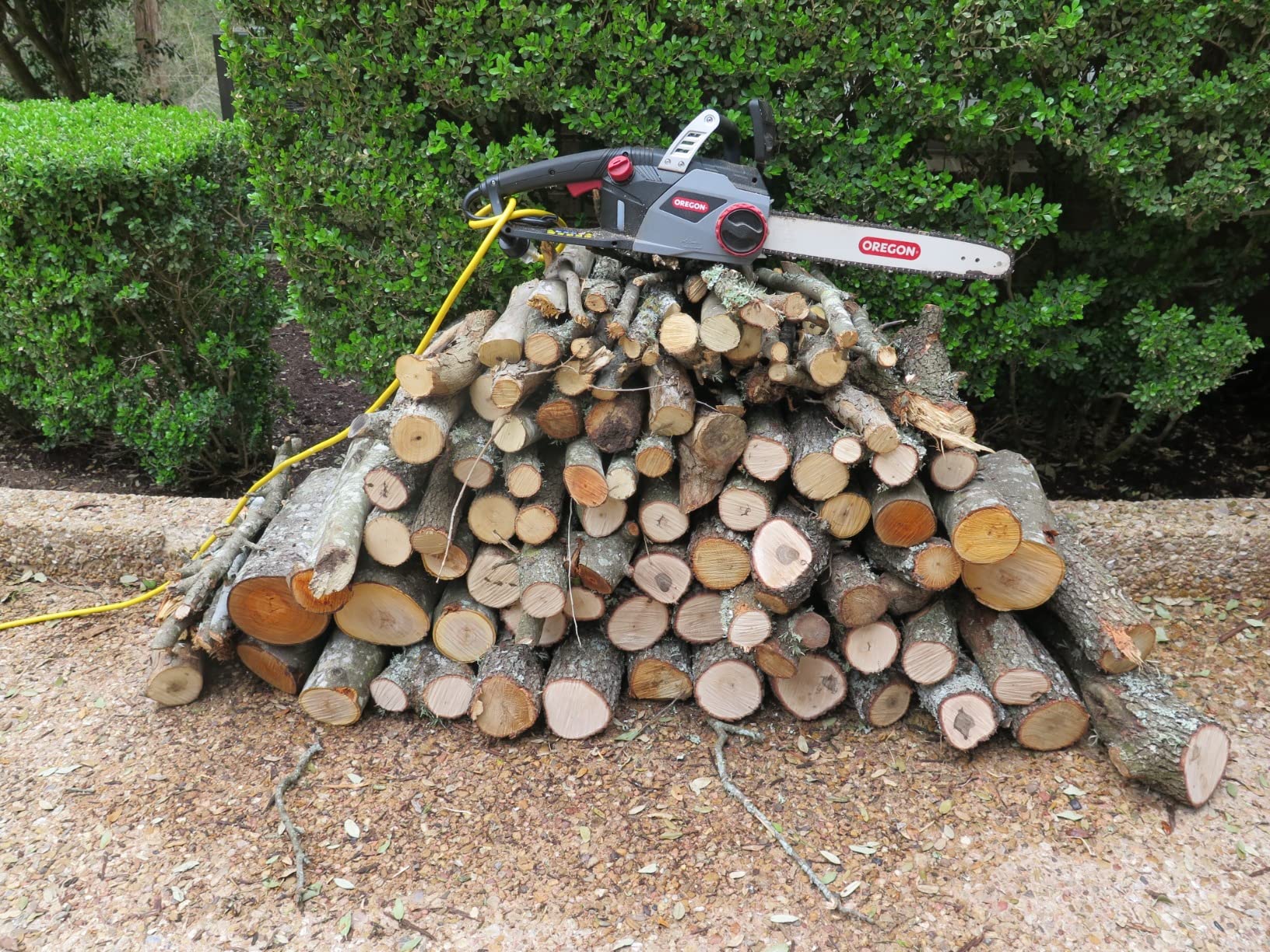 Oregon CS1400 15 Amp Electric Chainsaw, Powerful Corded Electric Saw with 16-Inch Guide Bar & ControlCut Saw Chain, Quiet & Low Kickback, 2-Year Warranty (603348) customer photo 2