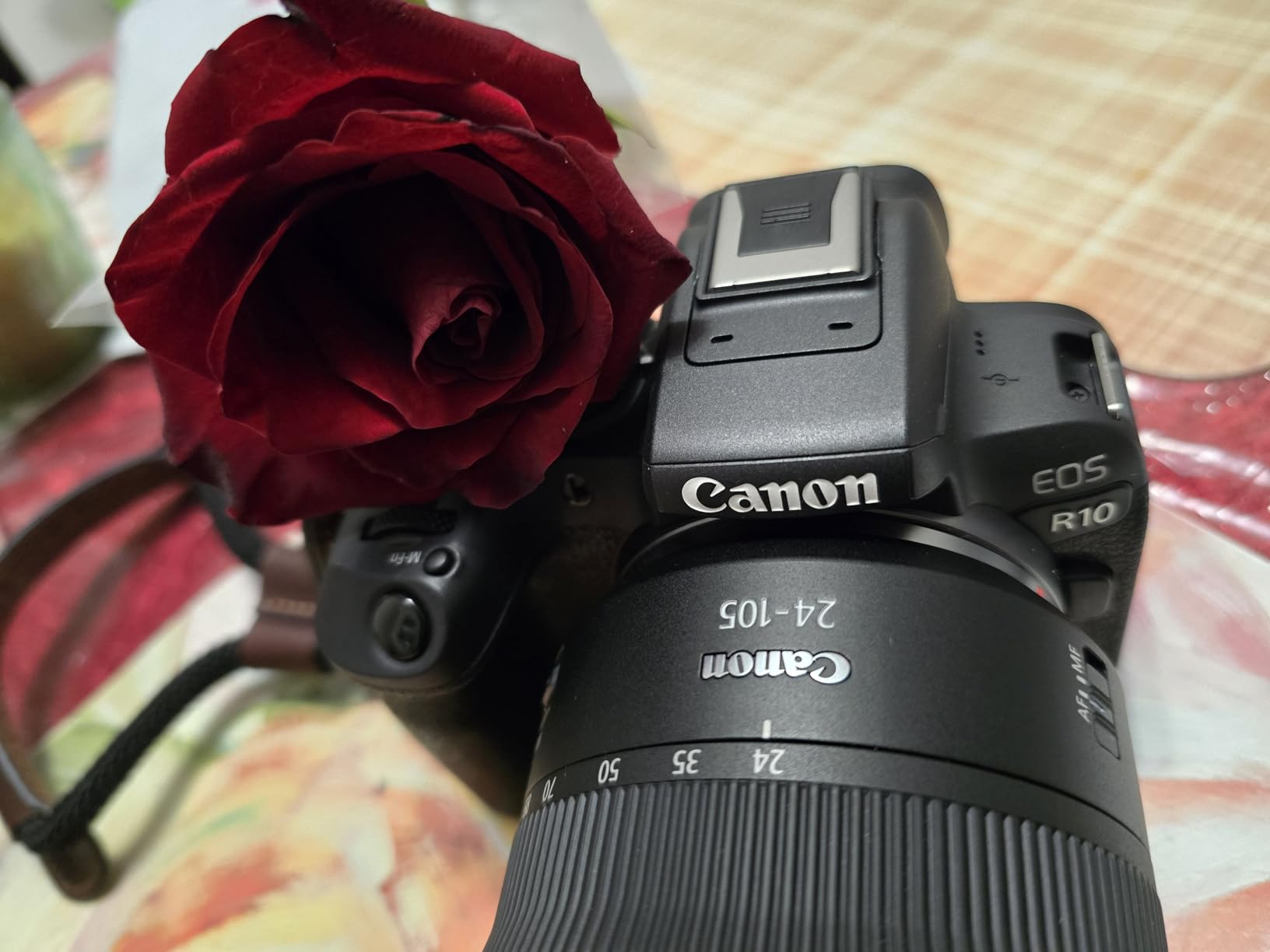 Canon RF 24-105mm f/4L IS USM Zoom Lens for EOS R Series Mirrorless Cameras customer photo 1