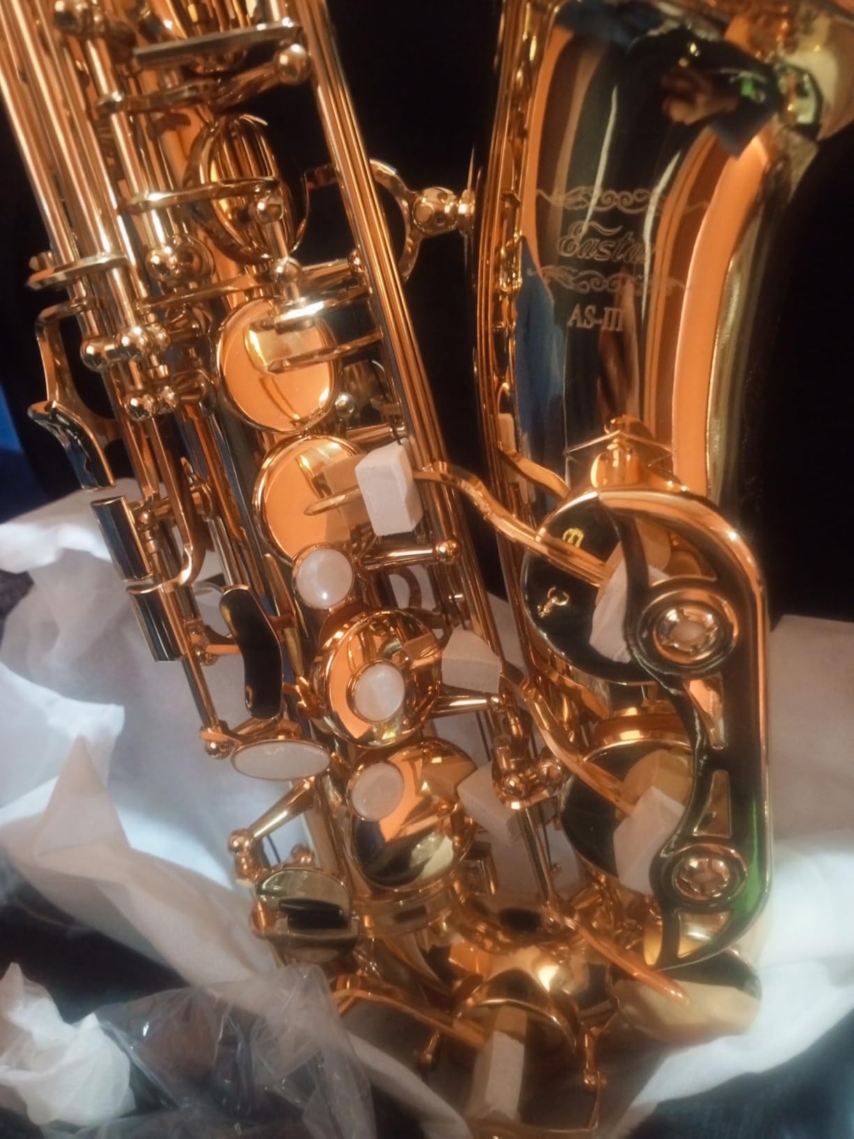 Eastar Student Alto Saxophone E Flat for Beginner Sax Full Kit with Carrying Case, Mouthpiece, Straps, Reeds, Stand, Golden Lacquer, AS-Ⅱ customer photo 1