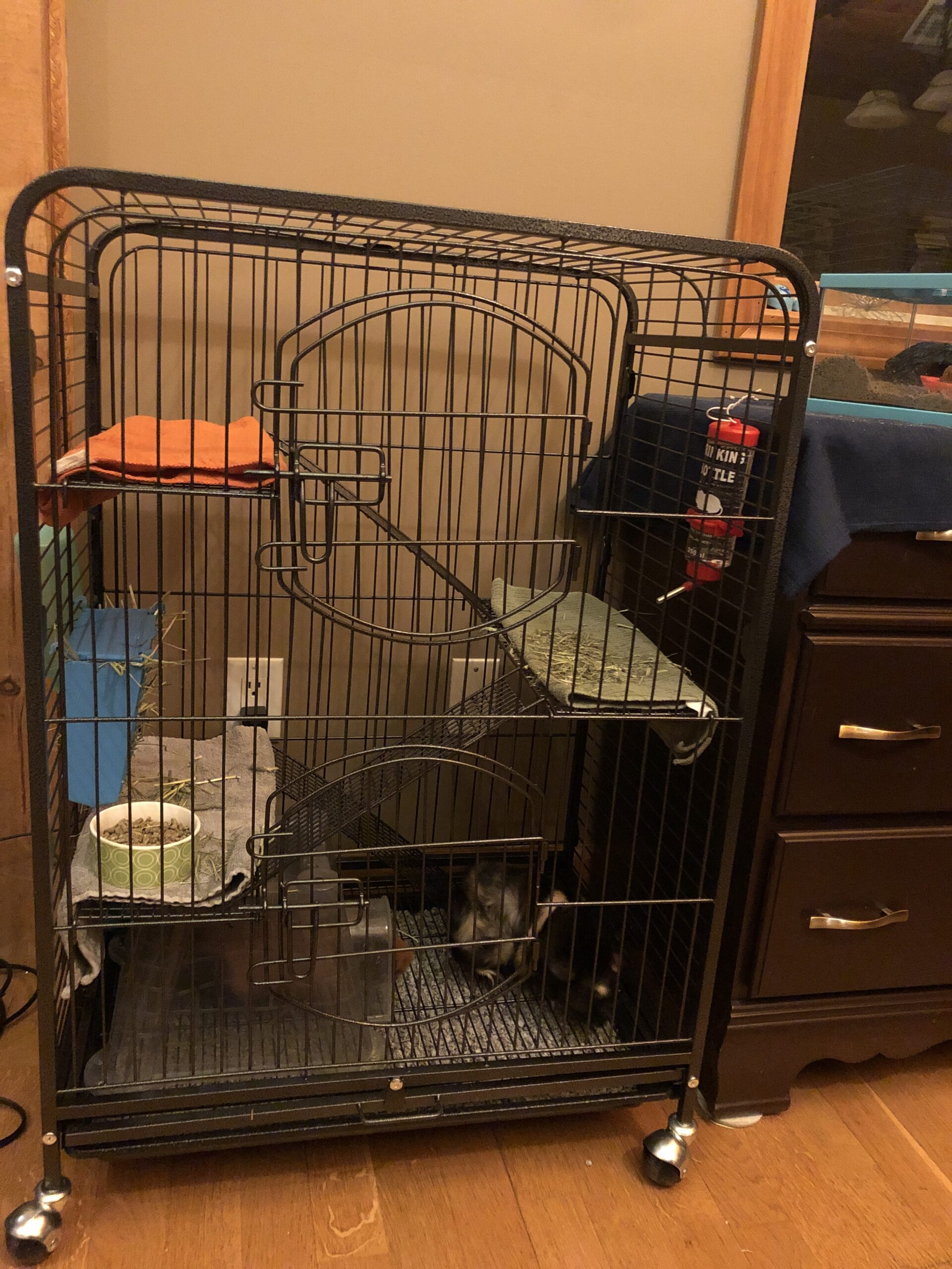 SUPER DEAL 37.2 Inches Metal Ferret Cage Chinchilla 4 Tiers Small Animal Cage with 3 Ladders/ 2 Front Doors/Food Bowl/Water Bottle/Slide Out Trays/Swivel Casters,Black customer photo 1