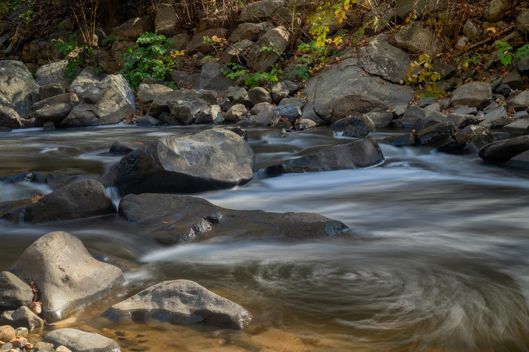 NIKKOR Z 24-70mm f/2.8 S | Professional large aperture mid-range zoom lens for Z series mirrorless cameras customer photo 1