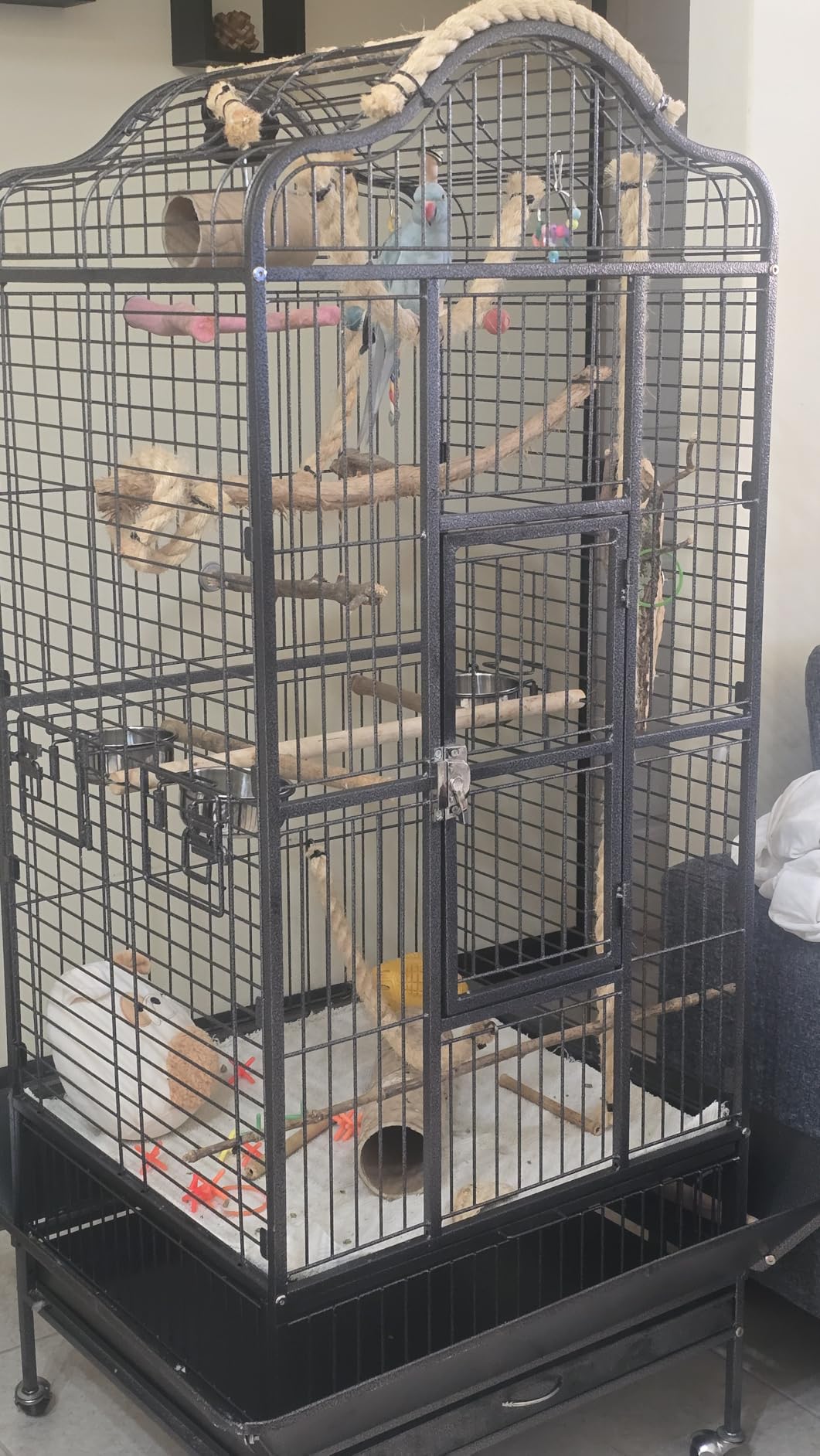 Yaheetech Extra Large Bird Cage 63'' Open Play Top Bird Cage for African Grey Parrots/Amazon Parrot/Caiques/Macaw with 360° Wheels customer photo 1
