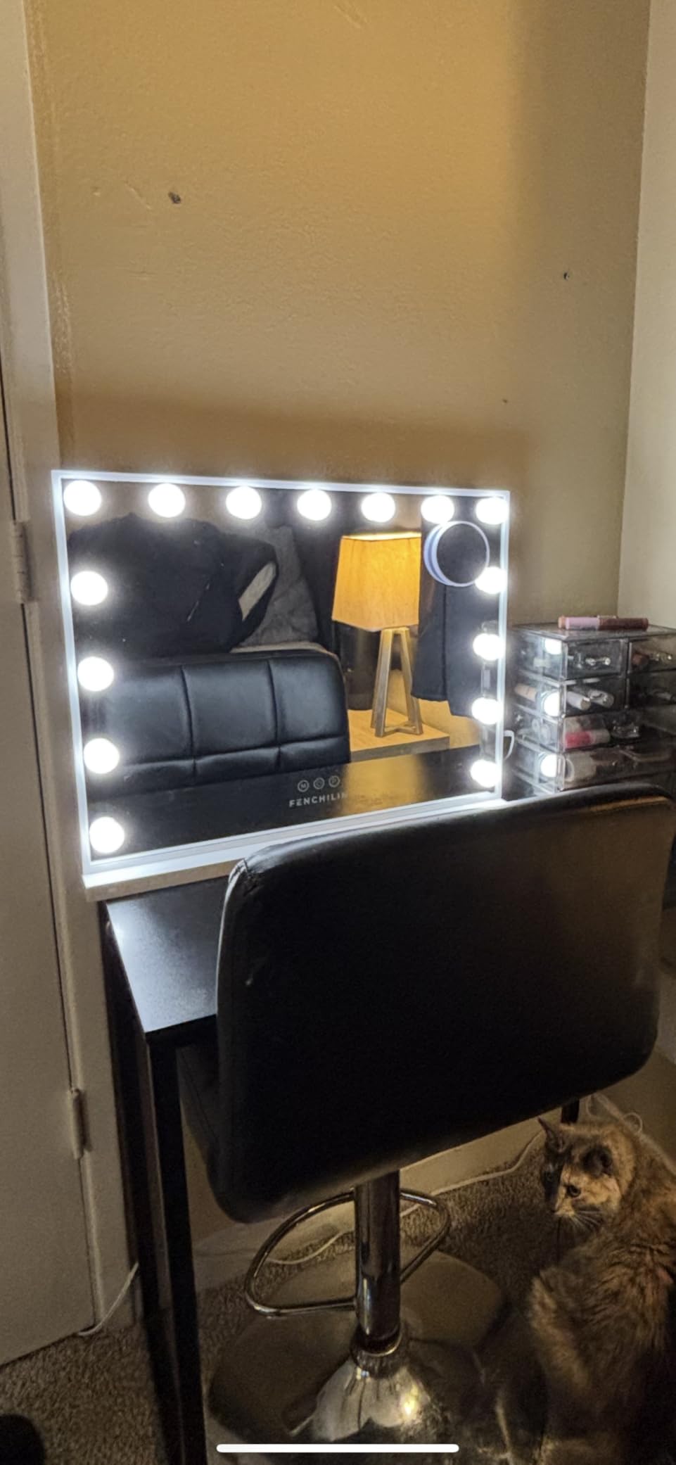 FENCHILIN Vanity Mirror with Lights, Hollywood Lighted Makeup Mirror with 15 Dimmable LED Bulbs for Dressing Room & Bedroom, Slim Metal Frame Design, White customer photo 2