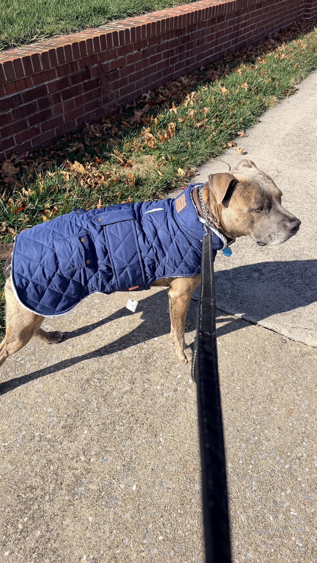 KYEESE Dog Coat Warm Pet Winter Coat with Leash Hole Waterproof Dogs Jacket with Fleece Lined Soft Pet Sweater for Cold Weather Windproof Dog Puffer Coats for Small Dogs Thick Pets Clothes with Pocket customer photo 1