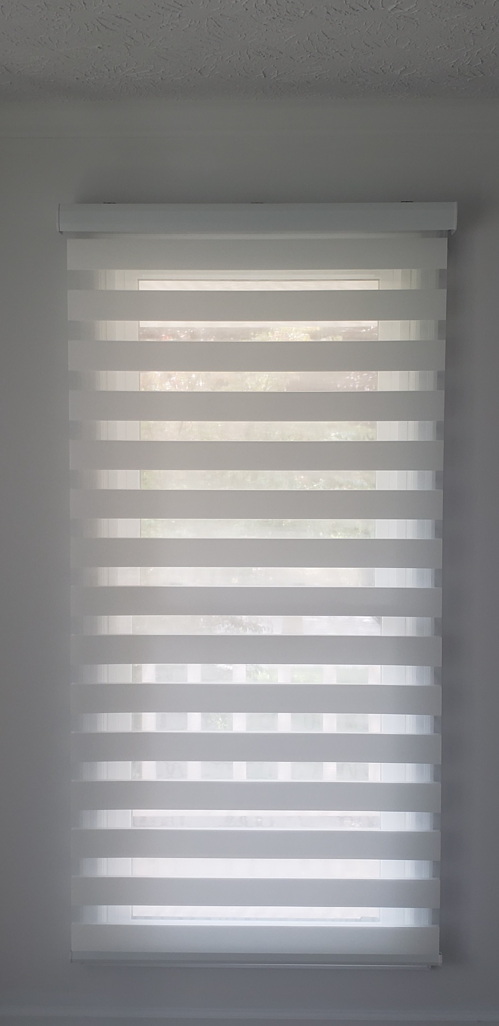 Graywind Motorized Blinds with Remote, Smart Zebra Shades for Windows, Roller Blinds Compatible with Alexa, Apple Homekit, Google Home, Custom Size, Classic - White customer photo 1