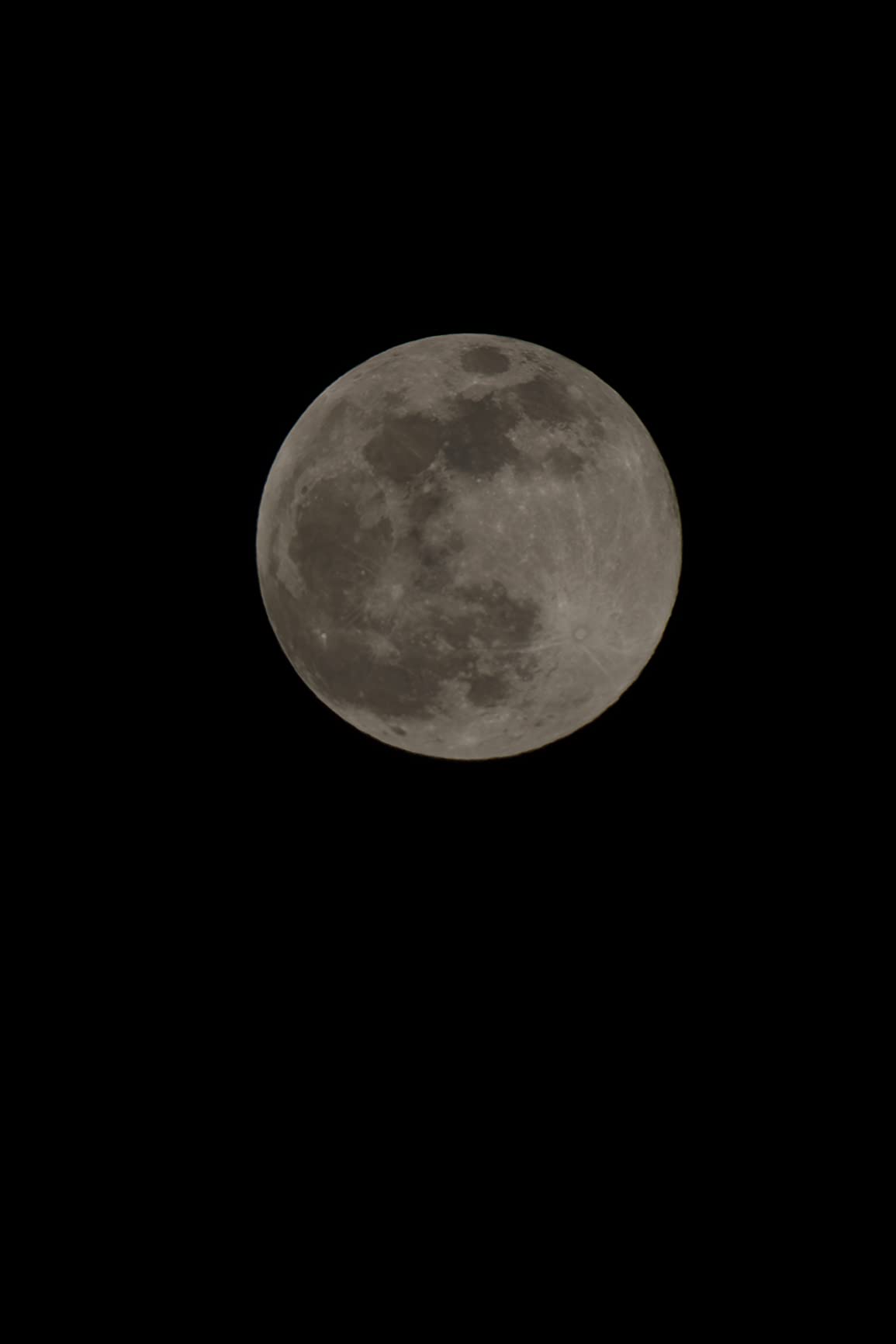 Canon RF 24-105mm F4-7.1 IS STM Lens customer photo 2