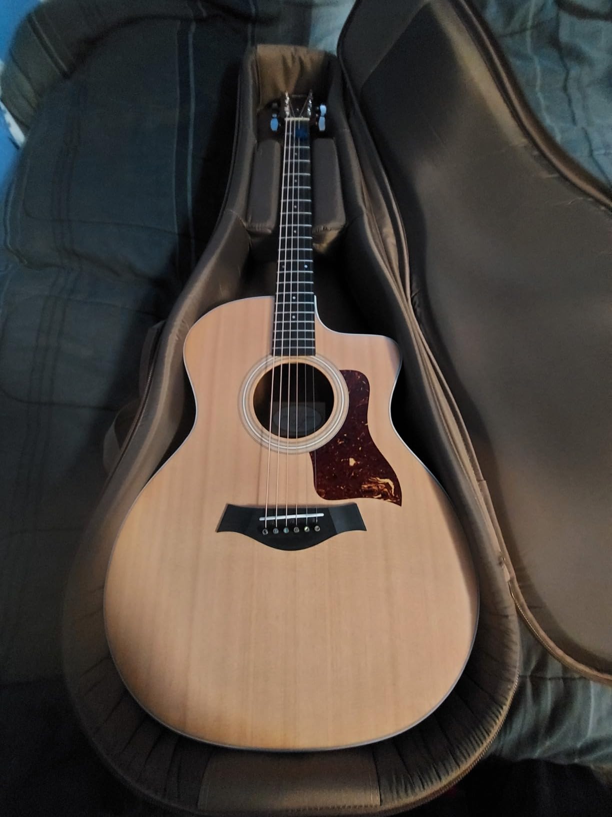 Taylor 214ce-K Acoustic-electric Guitar - Natural, Grand Auditorium customer photo 2
