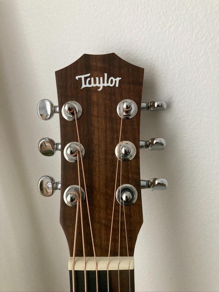 Baby Taylor BT1 Walnut Acoustic Guitar - Natural Sitka Spruce customer photo 1