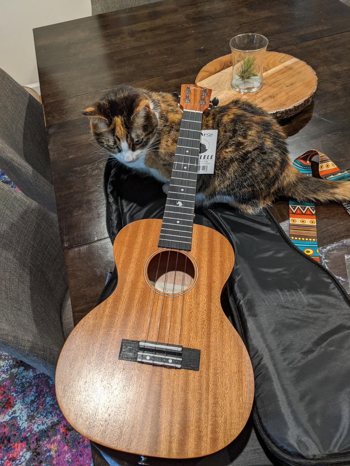 Baritone Ukulele, 30 Inch Professional Musical Instrument Ukelele for Adults Horse Uke Beginner Kit W/Gig Bag Strap OEM Strings Hawaiian Guitar Ukalalee Yukalalee Ukalele Yukelele customer photo 1
