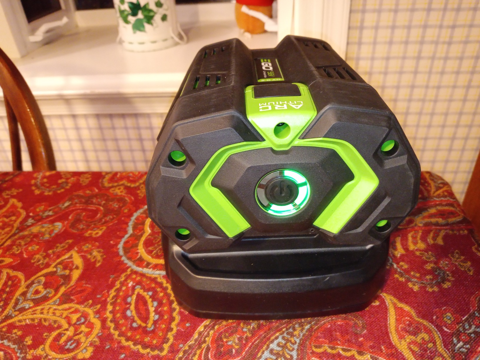 EGO POWER+ Leaf Blower, Cordless Electric 650 CFM, Includes 56V 5.0Ah Battery and Charger - LB6504 customer photo 1