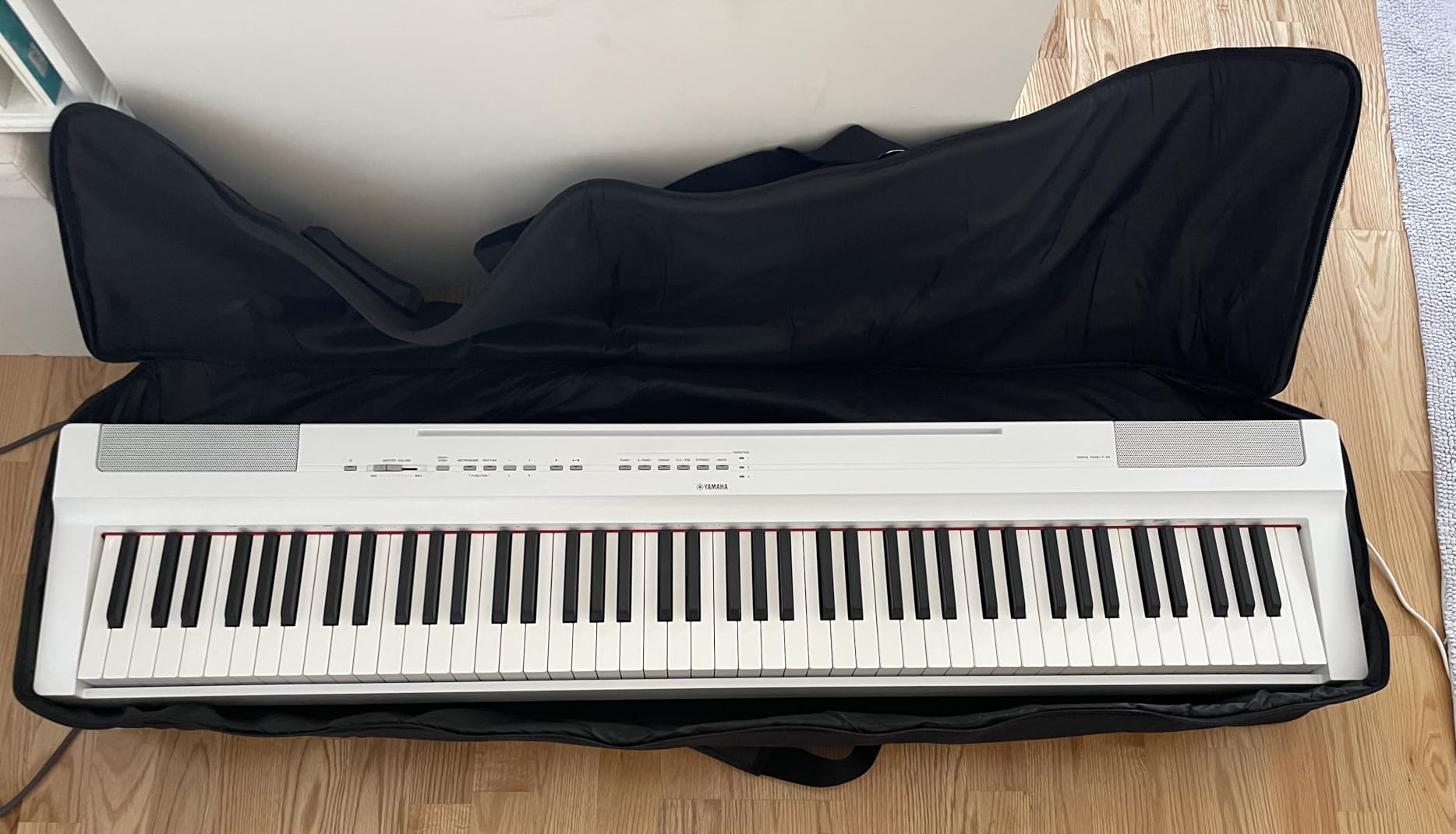 AKOZLIN 61 Keys Portable Padded Keyboard Case, Dimension 40