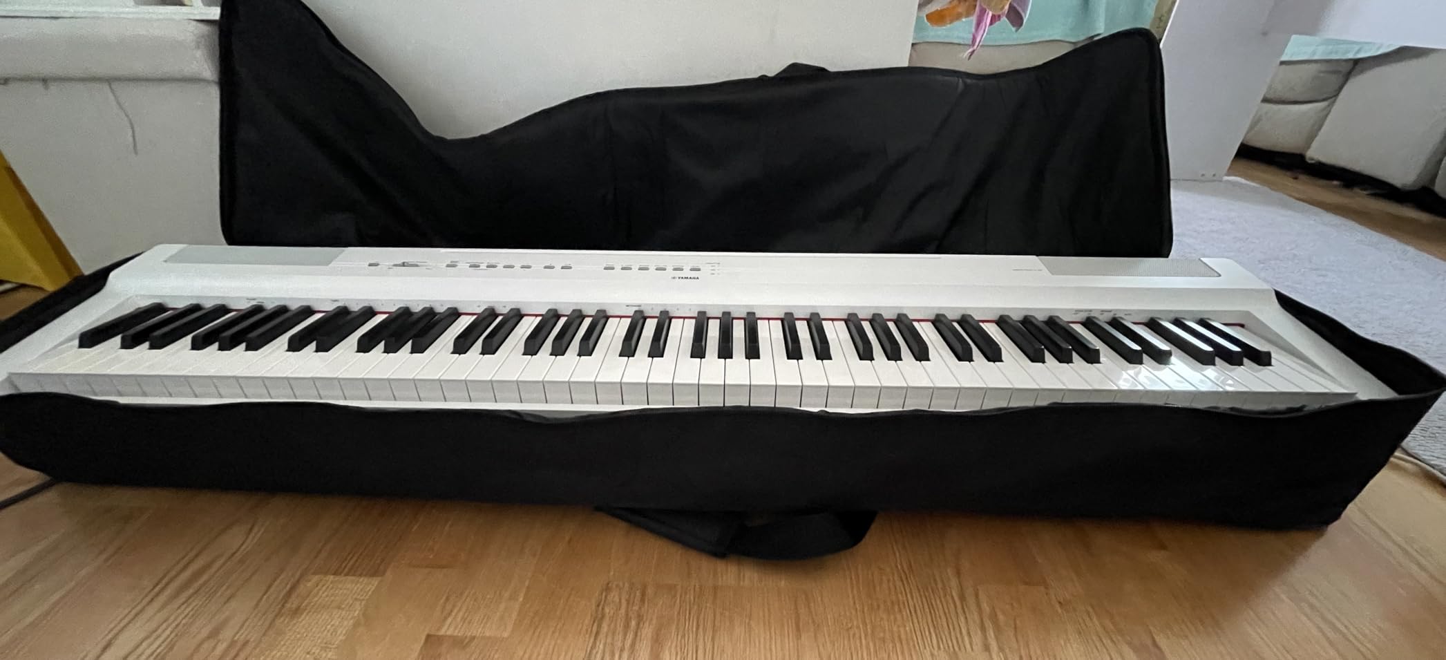 AKOZLIN 61 Keys Portable Padded Keyboard Case, Dimension 40