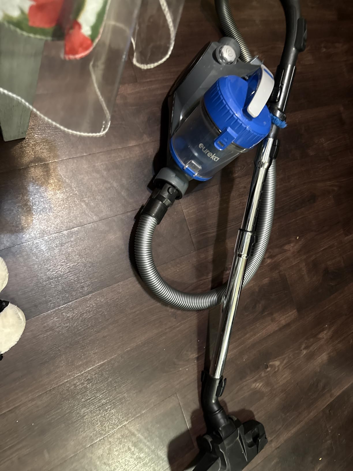 Eureka Bagless Canister Vacuum Cleaner, Lightweight Vac for Carpets and Hard Floors, w/Filter, Blue, Whirlwind NEN110B customer photo 1