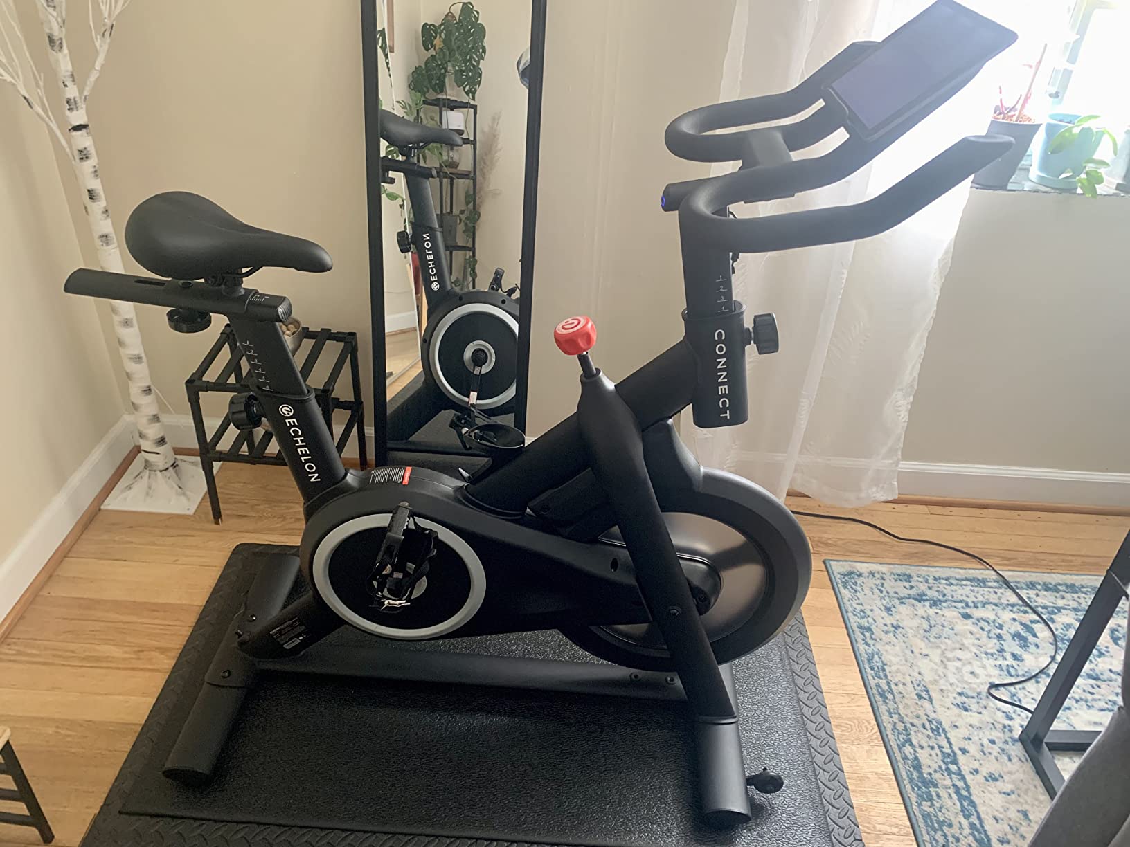 Echelon Smart Fitness Bike with App Connectivity, Magnetic Resistance, and Tablet Holder customer photo 1